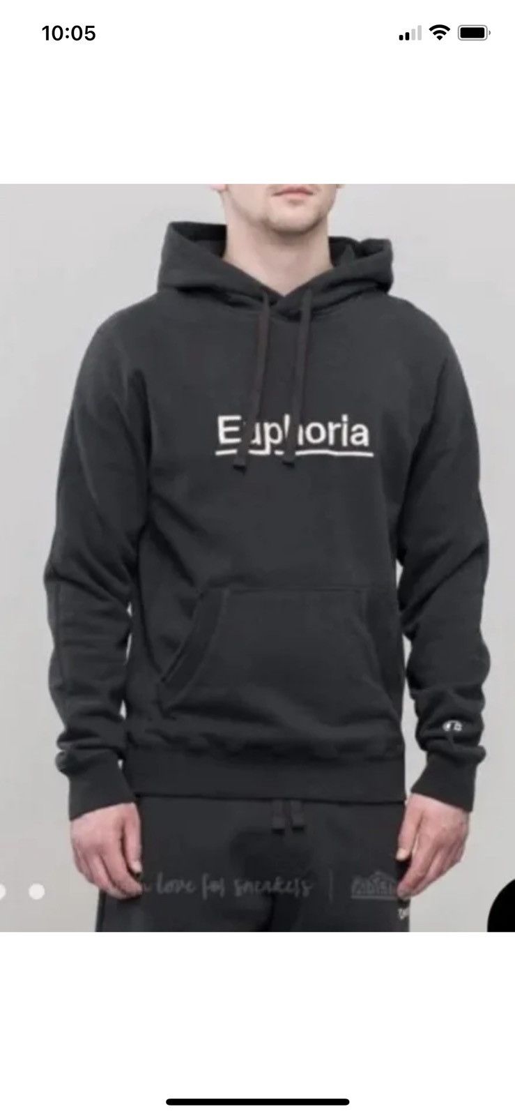 Embroidered Euphoria Luis Hoodie