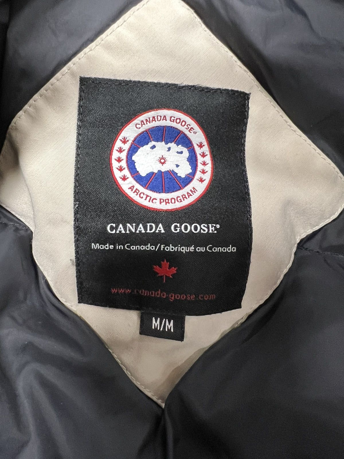 Canada Goose Canada Goose chillwack bomber winter jacket Size M / US 6-8 / IT 42-44 - 4 Thumbnail