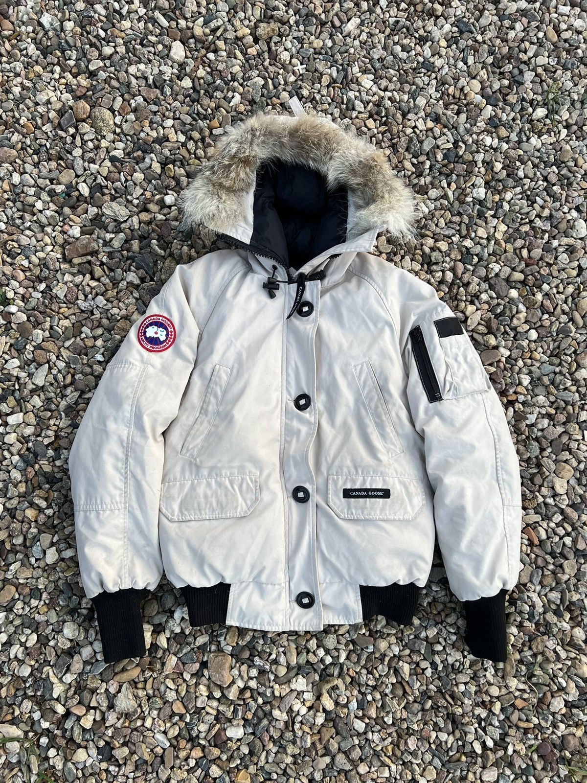 Canada Goose Canada Goose chillwack bomber winter jacket Size M / US 6-8 / IT 42-44 - 1 Thumbnail