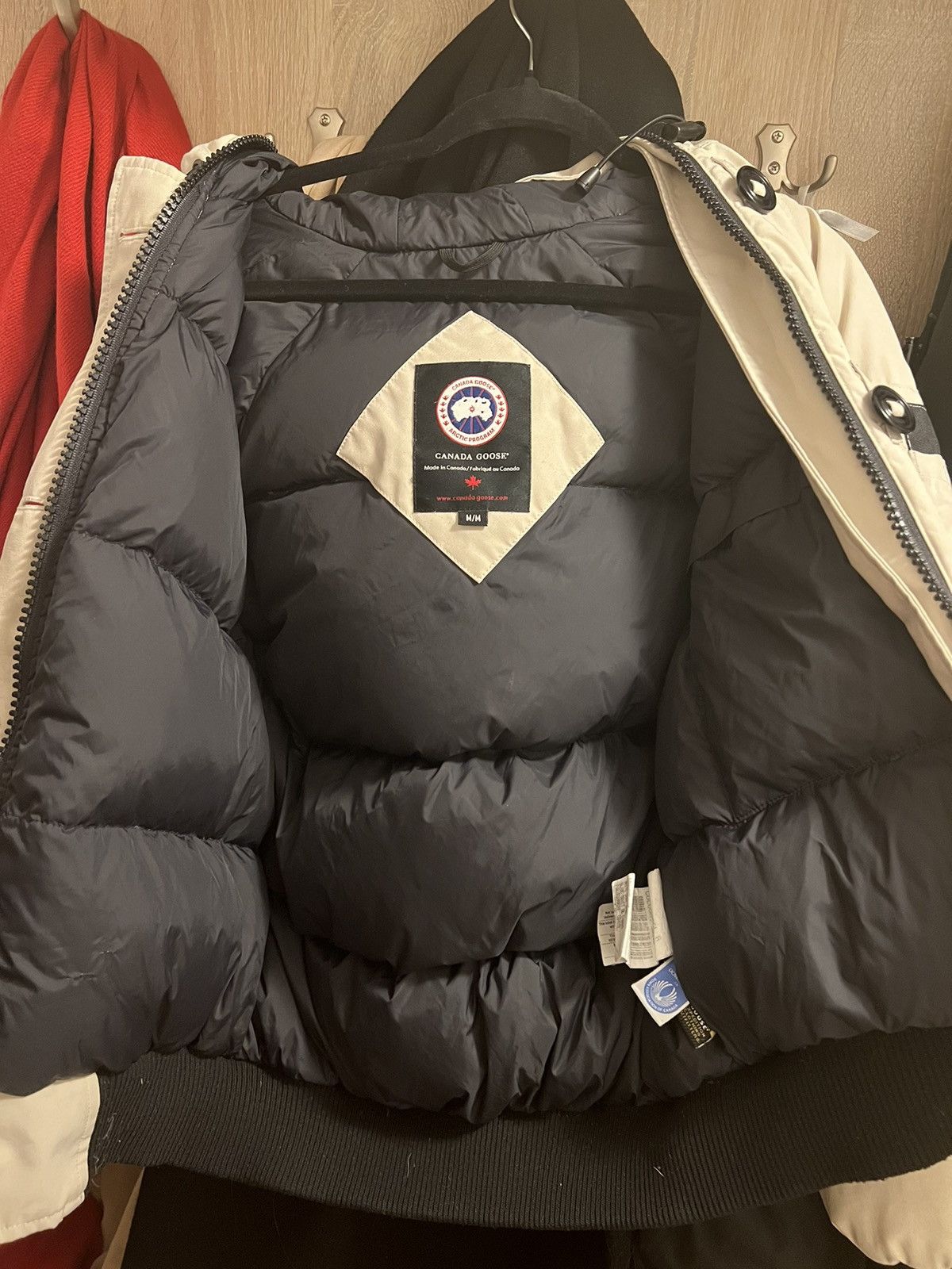 Canada Goose Canada Goose chillwack bomber winter jacket Size M / US 6-8 / IT 42-44 - 7 Thumbnail