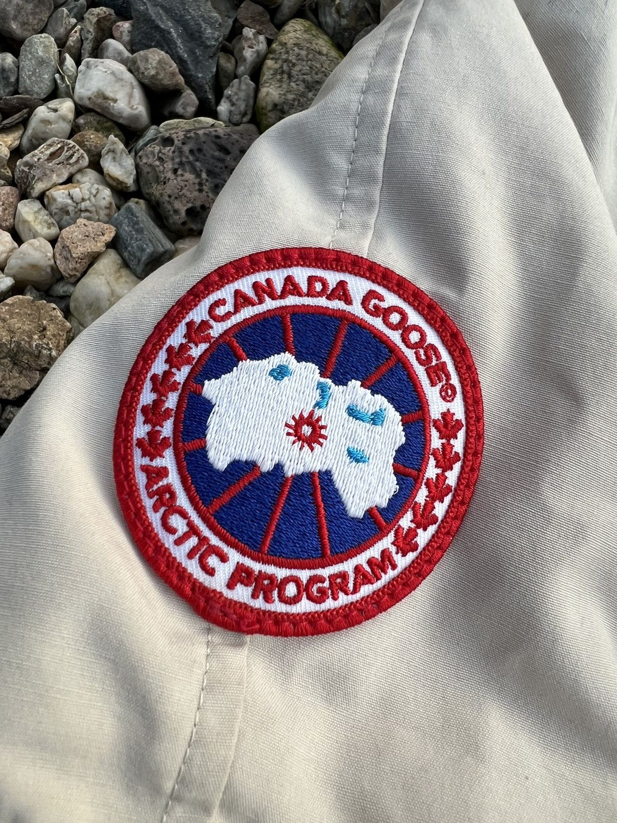 Canada Goose Canada Goose chillwack bomber winter jacket Size M / US 6-8 / IT 42-44 - 3 Thumbnail