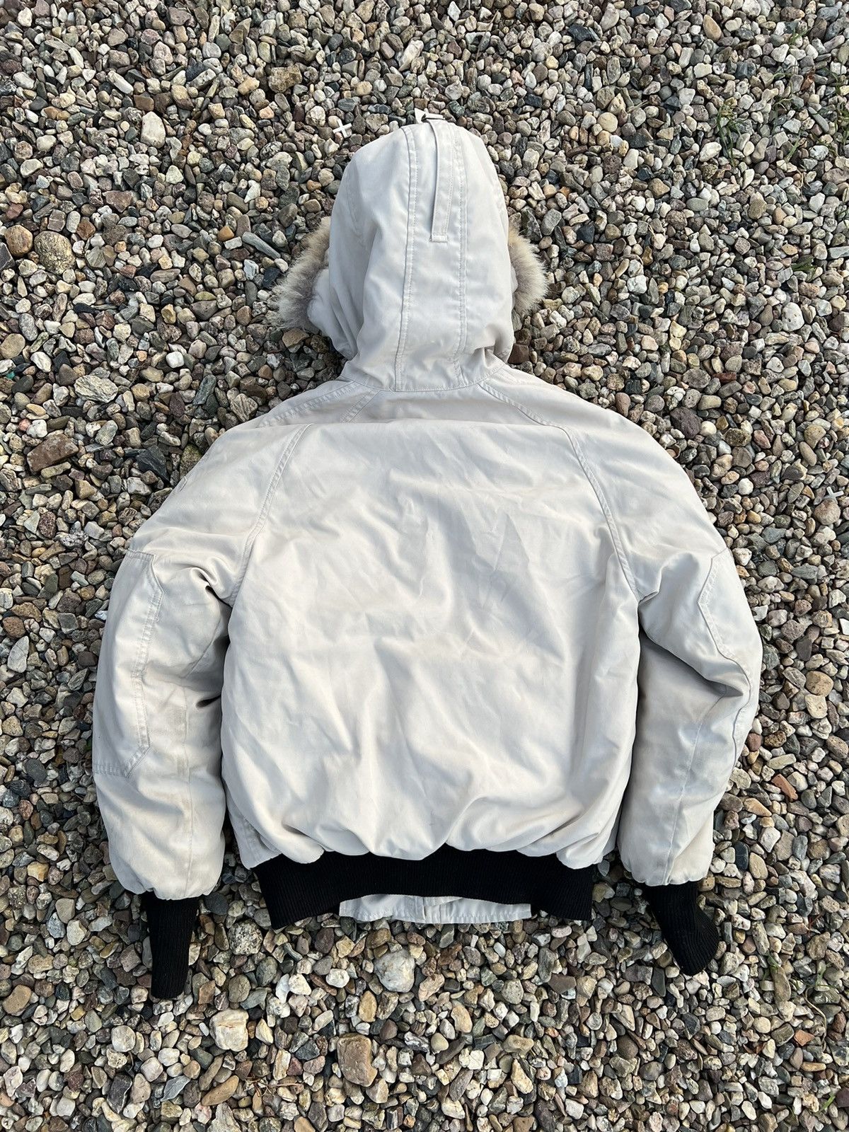 Canada Goose Canada Goose chillwack bomber winter jacket Size M / US 6-8 / IT 42-44 - 2 Thumbnail