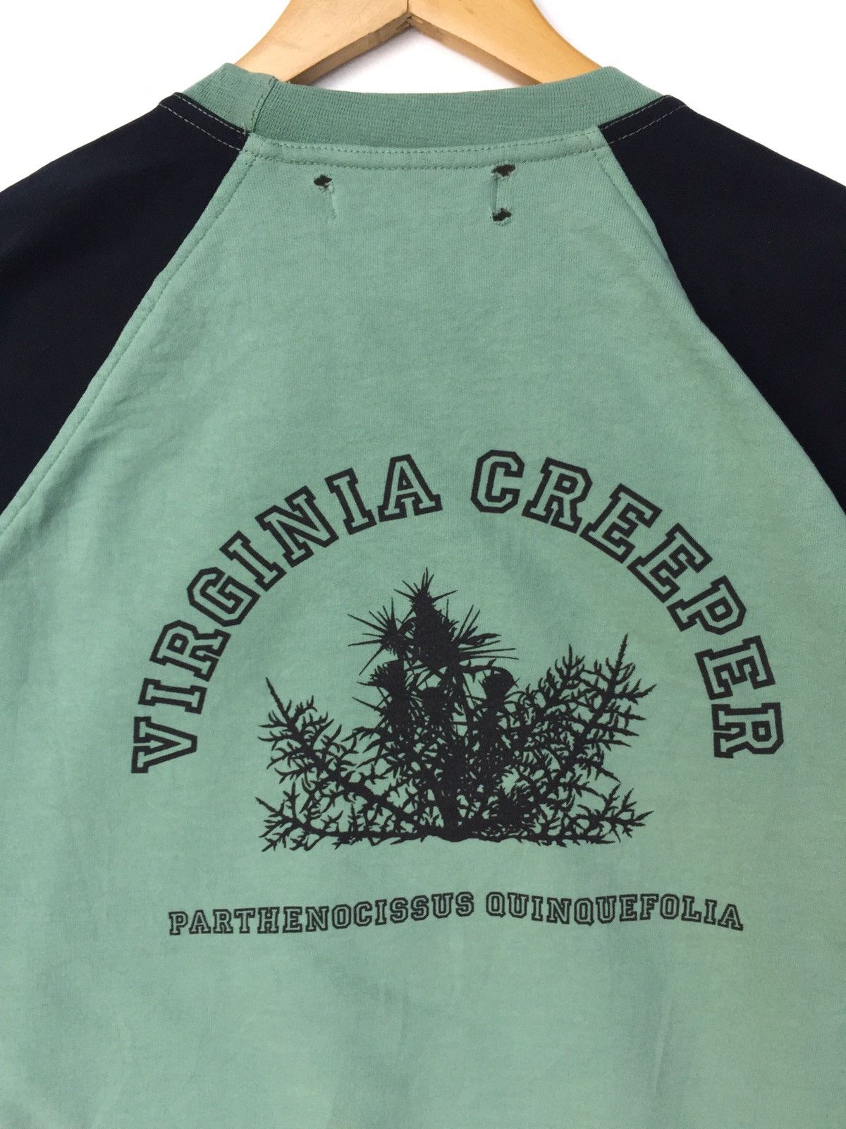 Raf Simons × Vintage RARE❗️Raf Simons VIRGINIA CREEPER A/W 02/03 Baseball  Sweat | Grailed