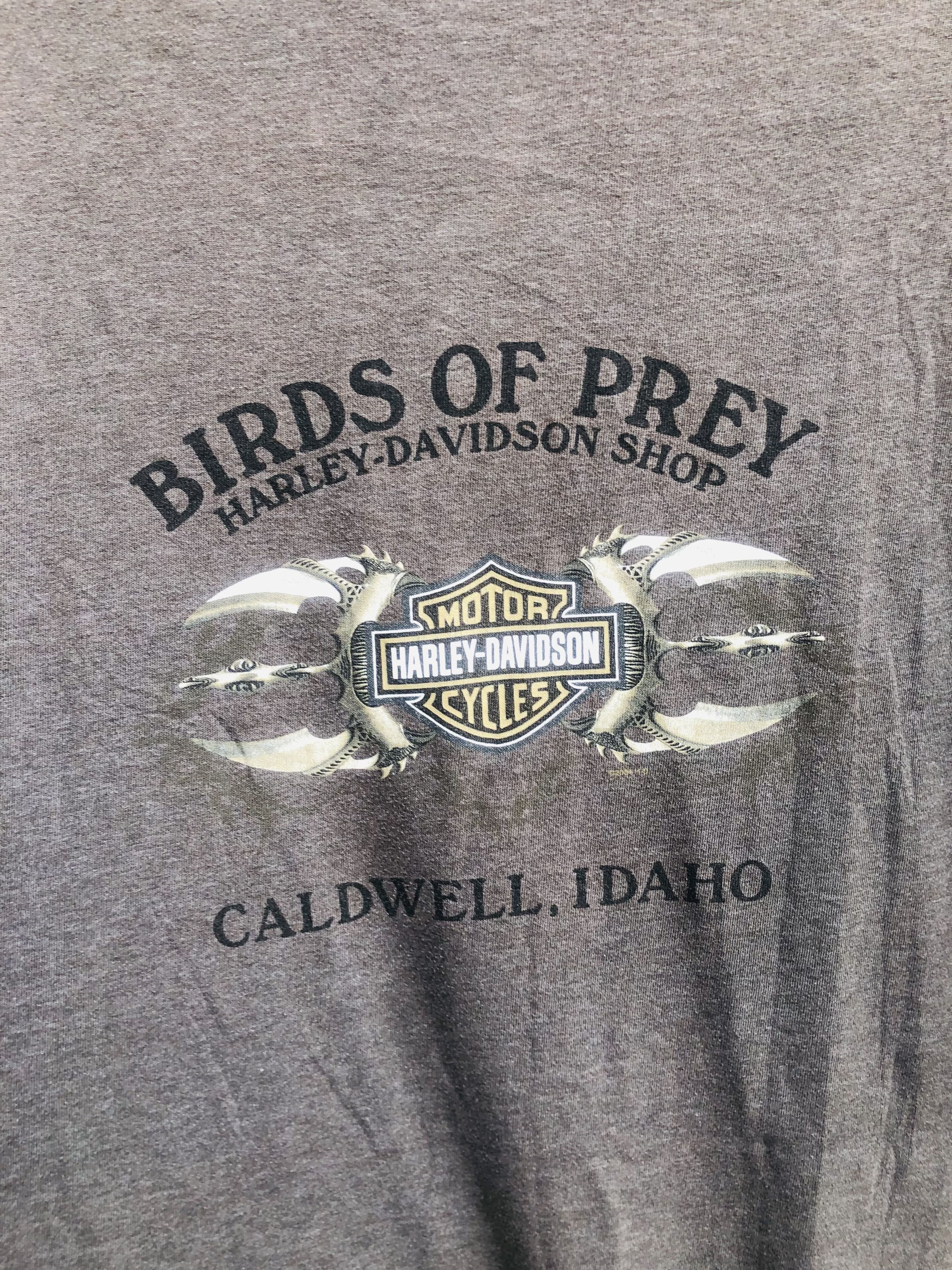 Harley Davidson Vintage Harley Davidson Bird Of Prey Streetwear Style Size US XL / EU 56 / 4 - 8 Thumbnail