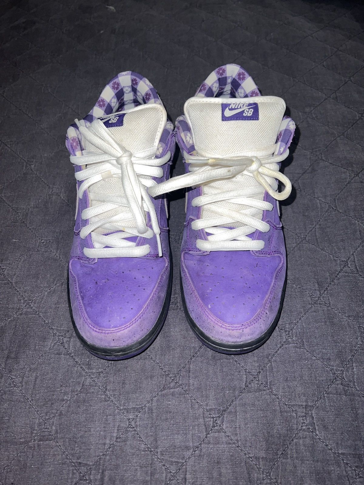 where to buy nike sb purple lobster