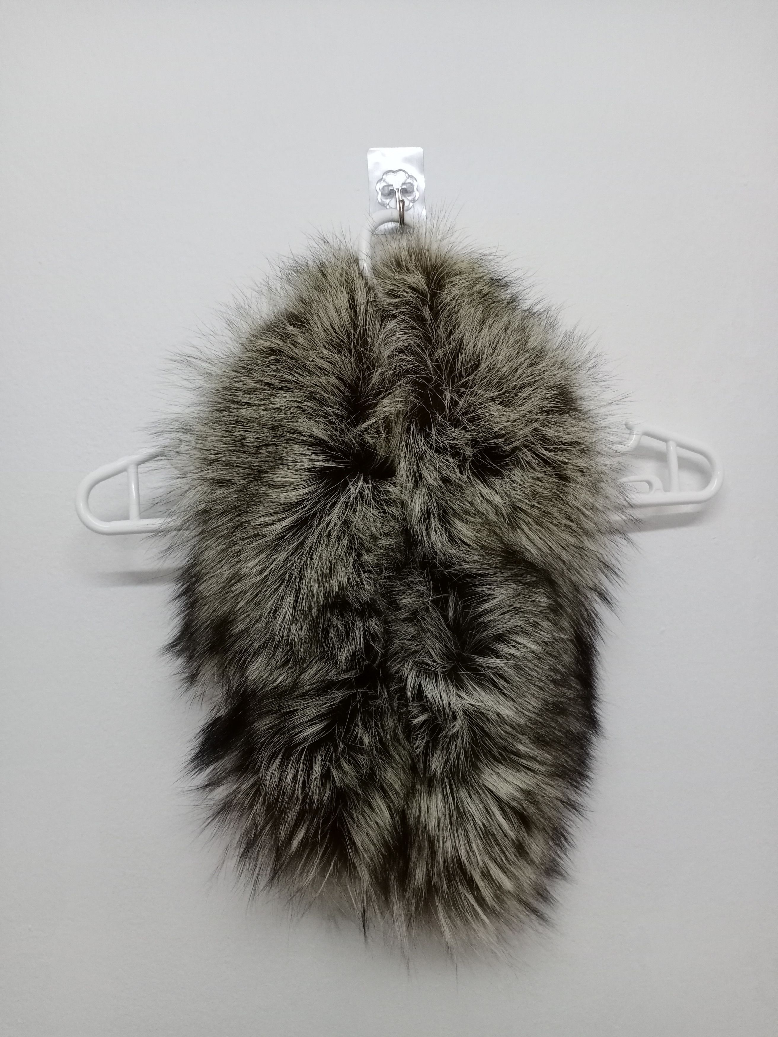 SAGA FURE REAL FINNRACCOON