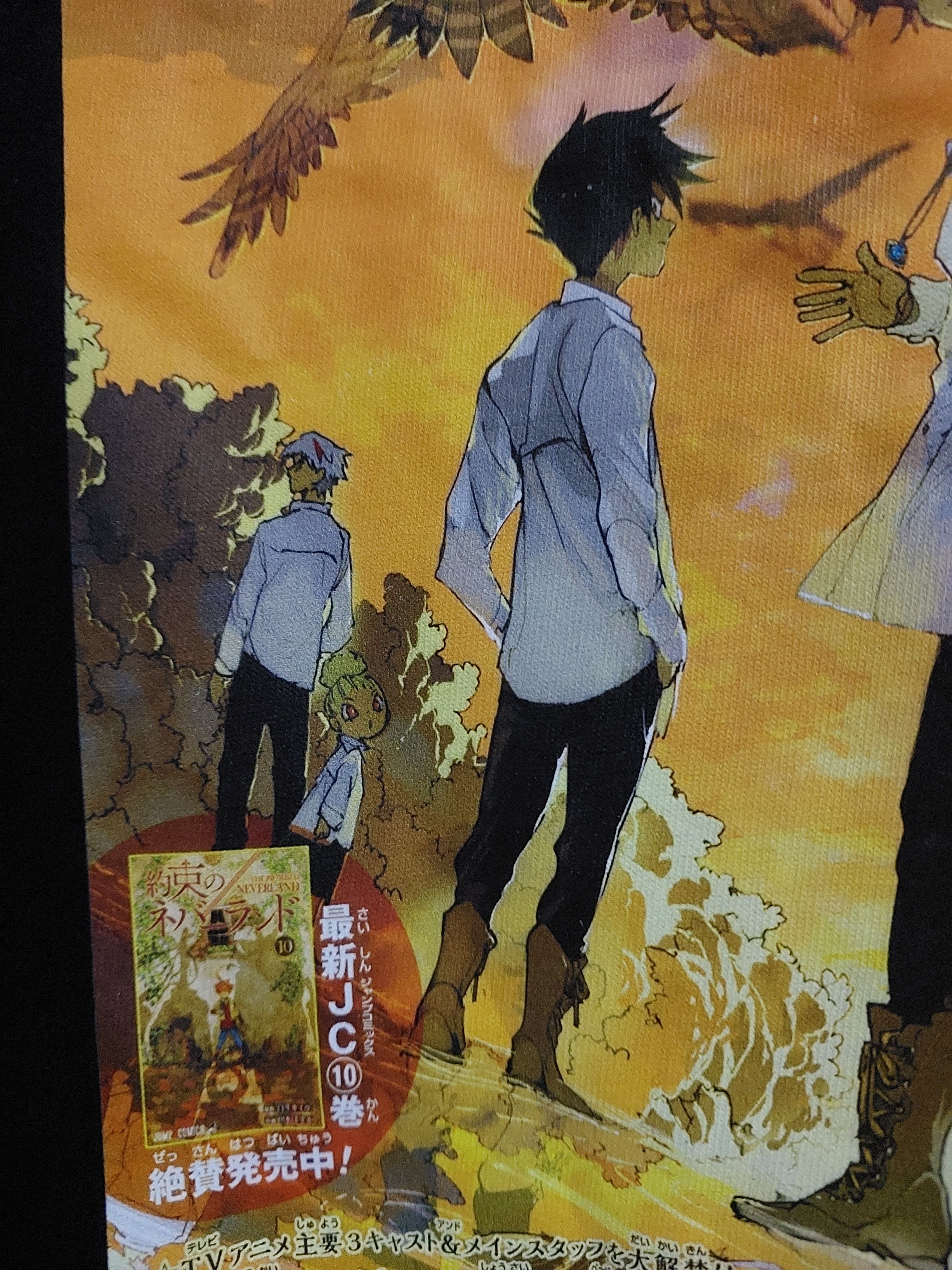 Anime THE PROMISED NEVERLAND ANIME MANGA COVER T SHIRT Size US L / EU 52-54 / 3 - 8 Thumbnail
