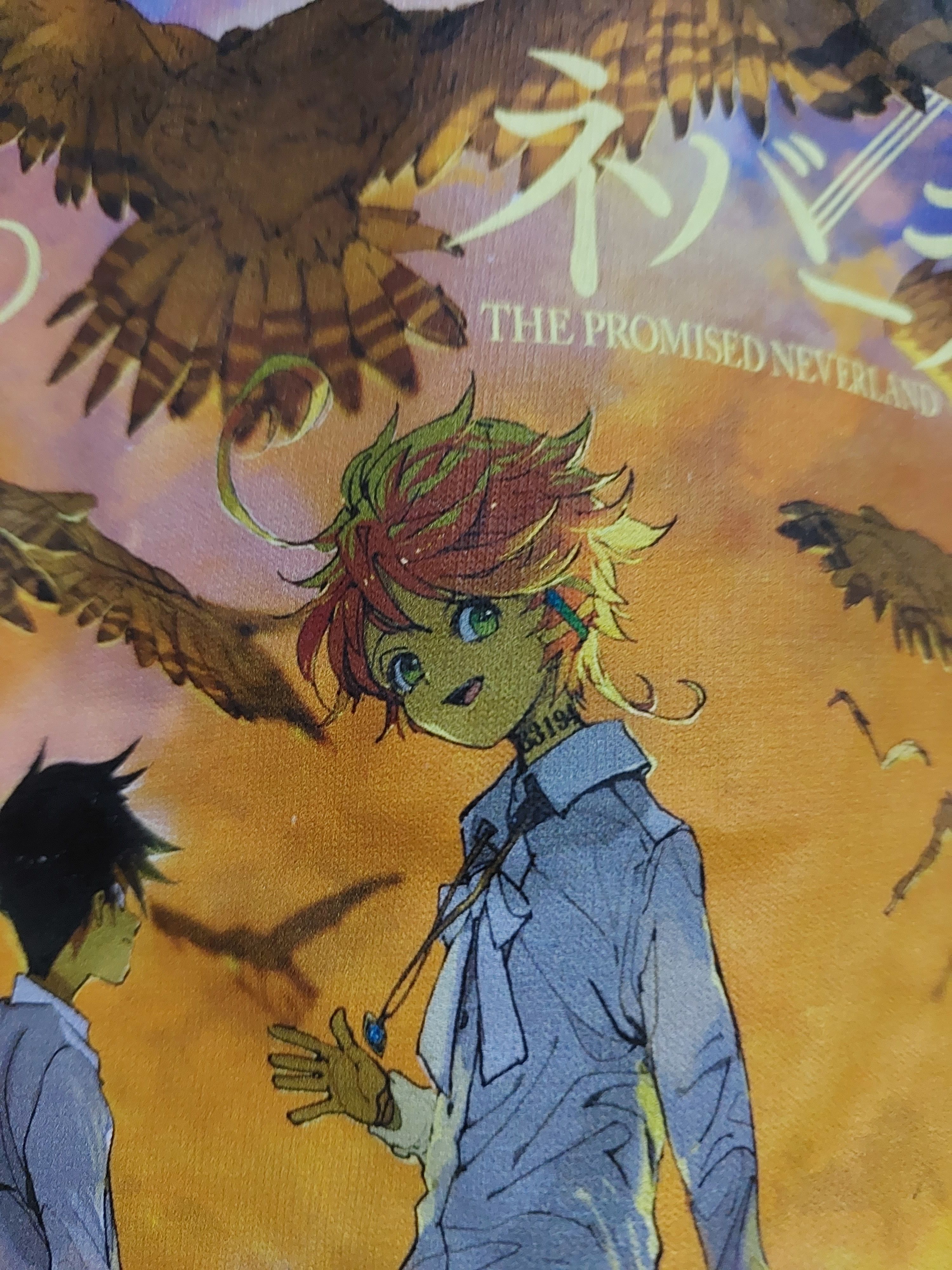 Anime THE PROMISED NEVERLAND ANIME MANGA COVER T SHIRT Size US L / EU 52-54 / 3 - 3 Thumbnail