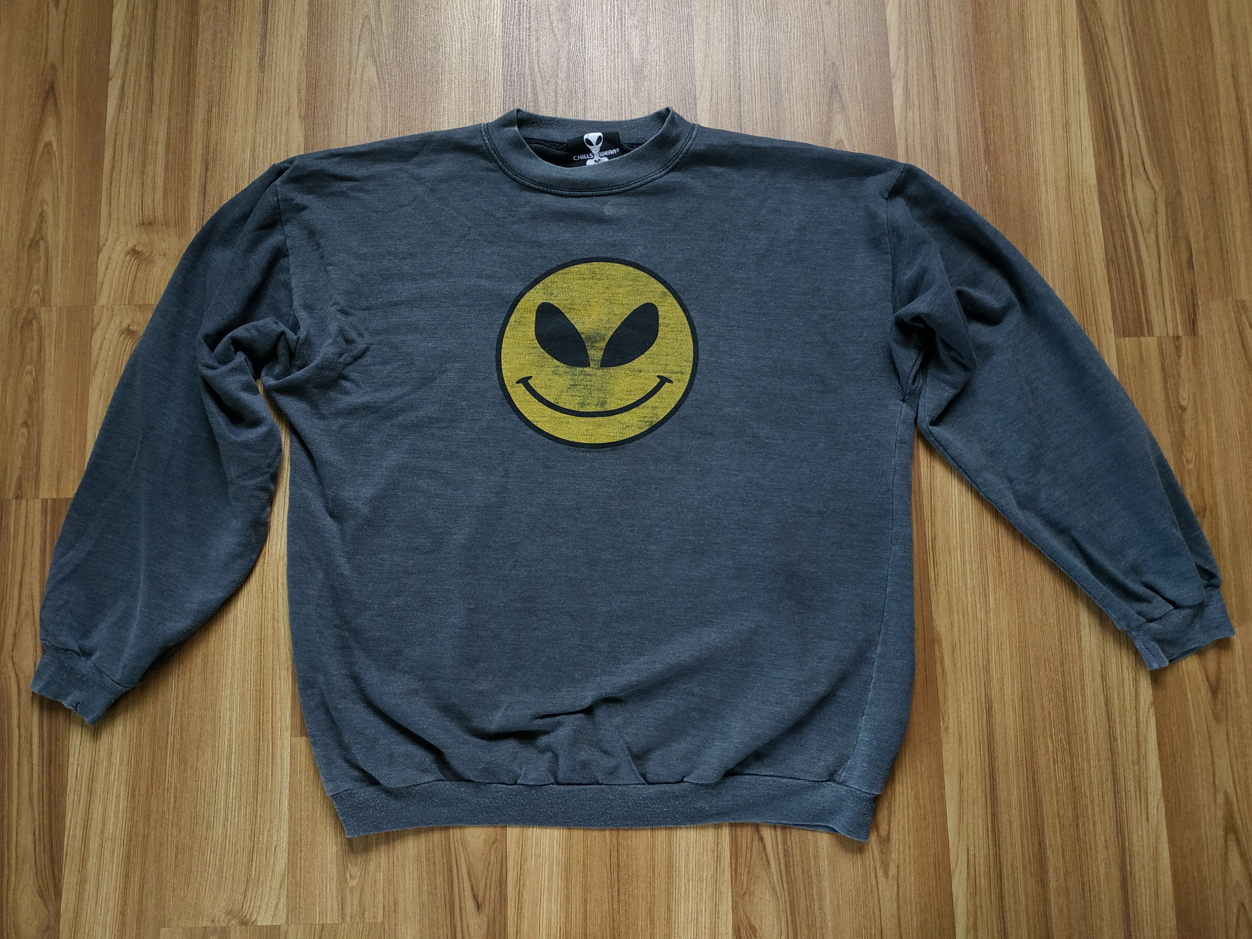 Vintage Y2K 90s Alien Chills 1993 Sweatshirt Stussy Blind