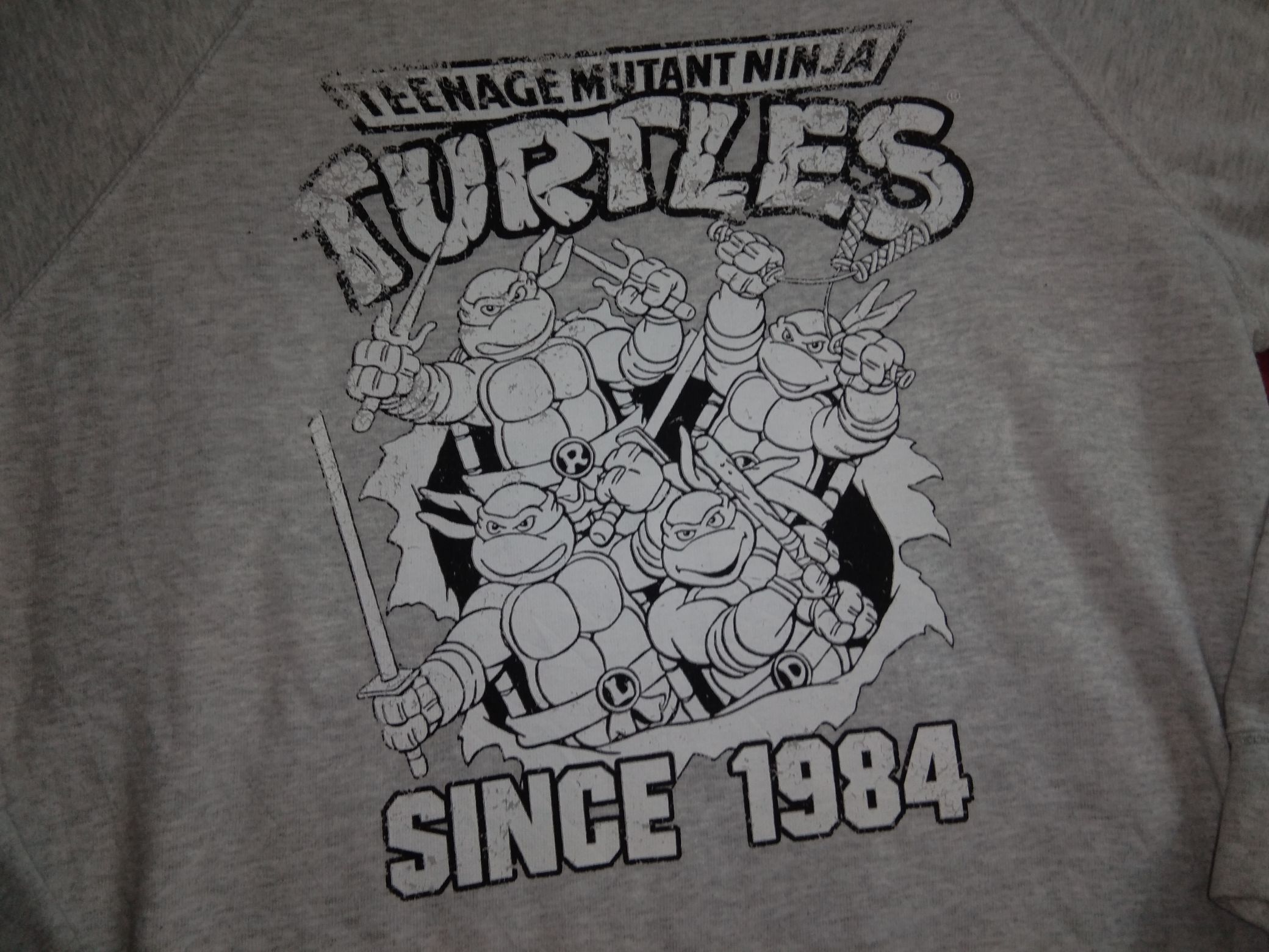 Cartoon Network TMNT Ninja Turtles Distressed Since 1984 Sweatshirt cartoon Size US L / EU 52-54 / 3 - 1 Thumbnail