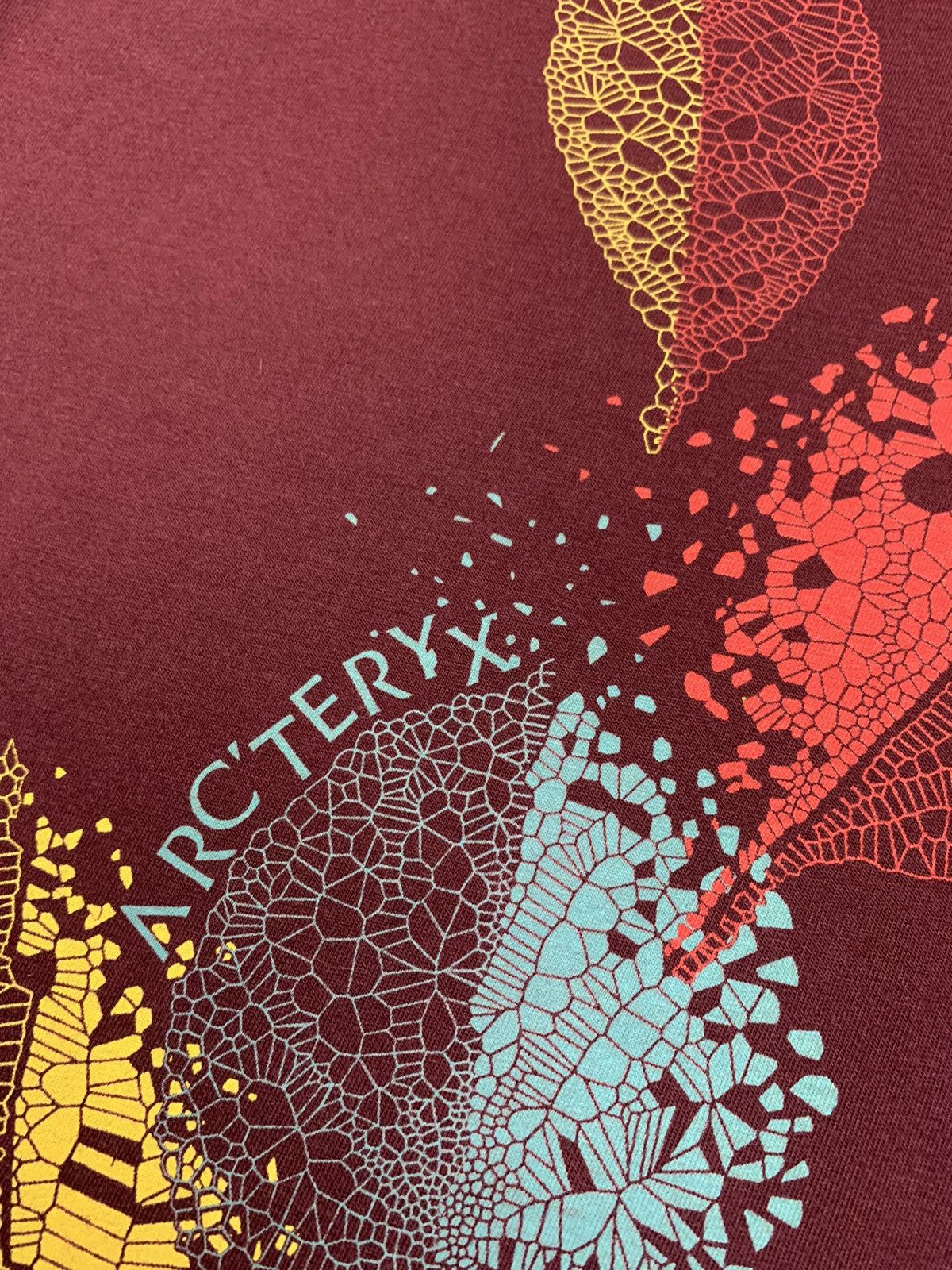Arc'teryx Arcteryx women’s tee big logo rare size S Size S / US 4 / IT 40 - 3 Thumbnail