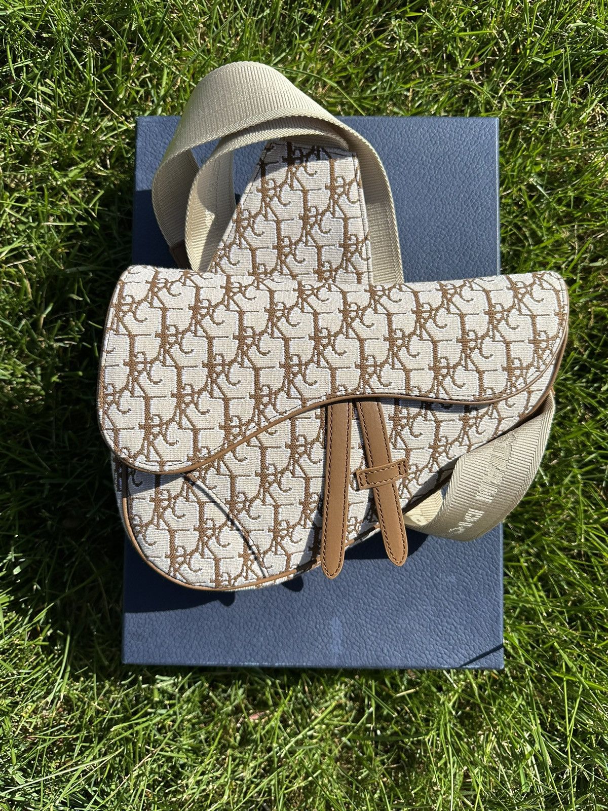 dior cactus