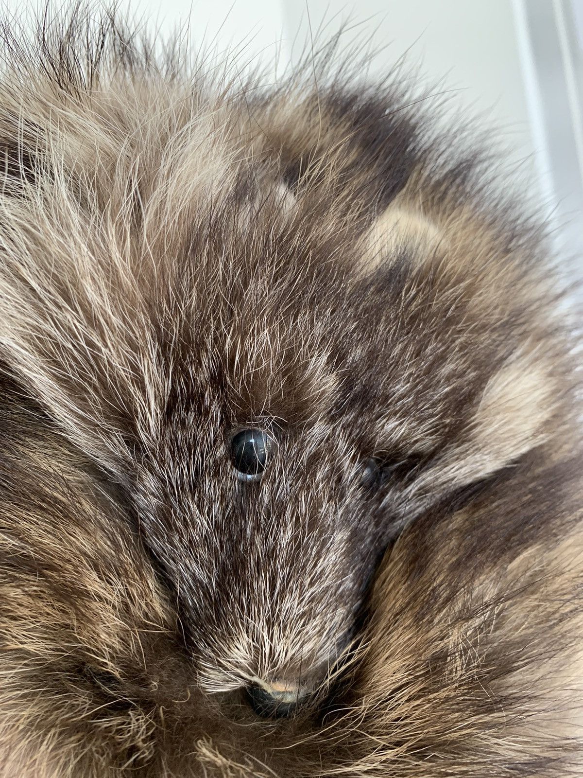 Designer Racoon fur natural hat Size ONE SIZE - 3 Thumbnail