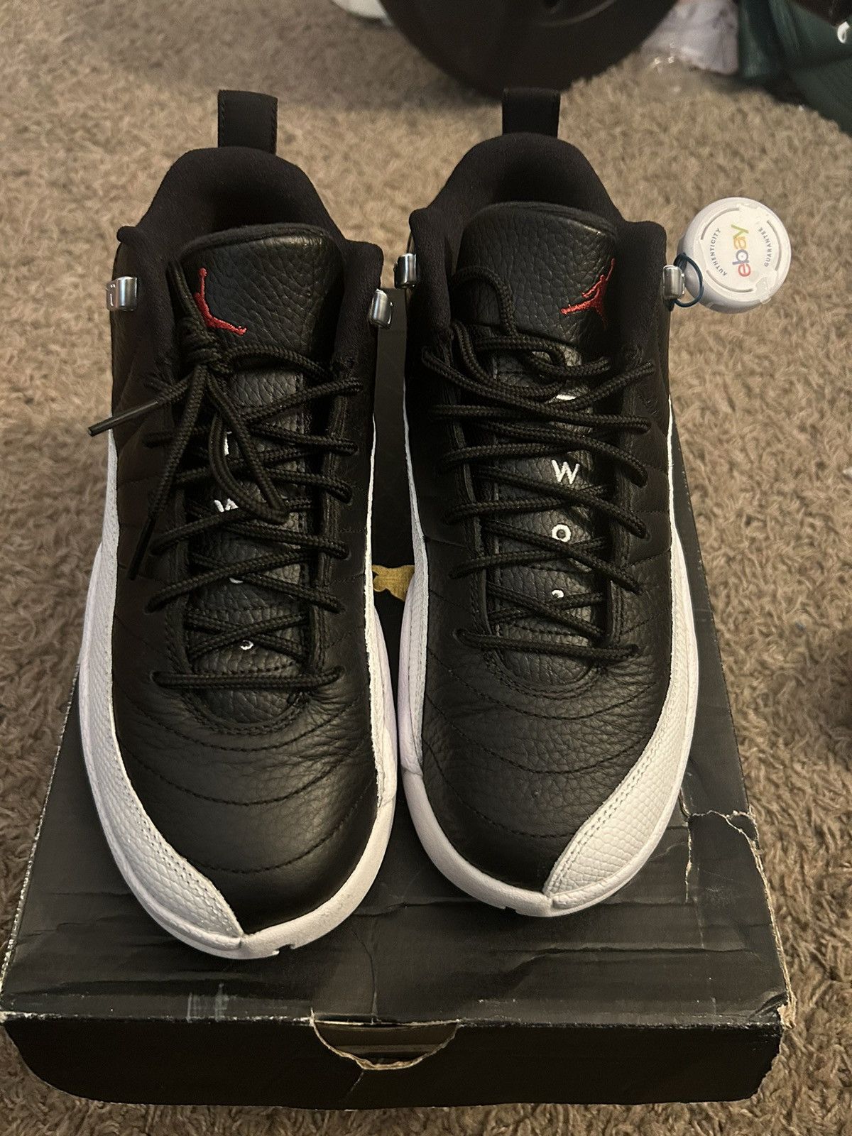 jordan 10s low