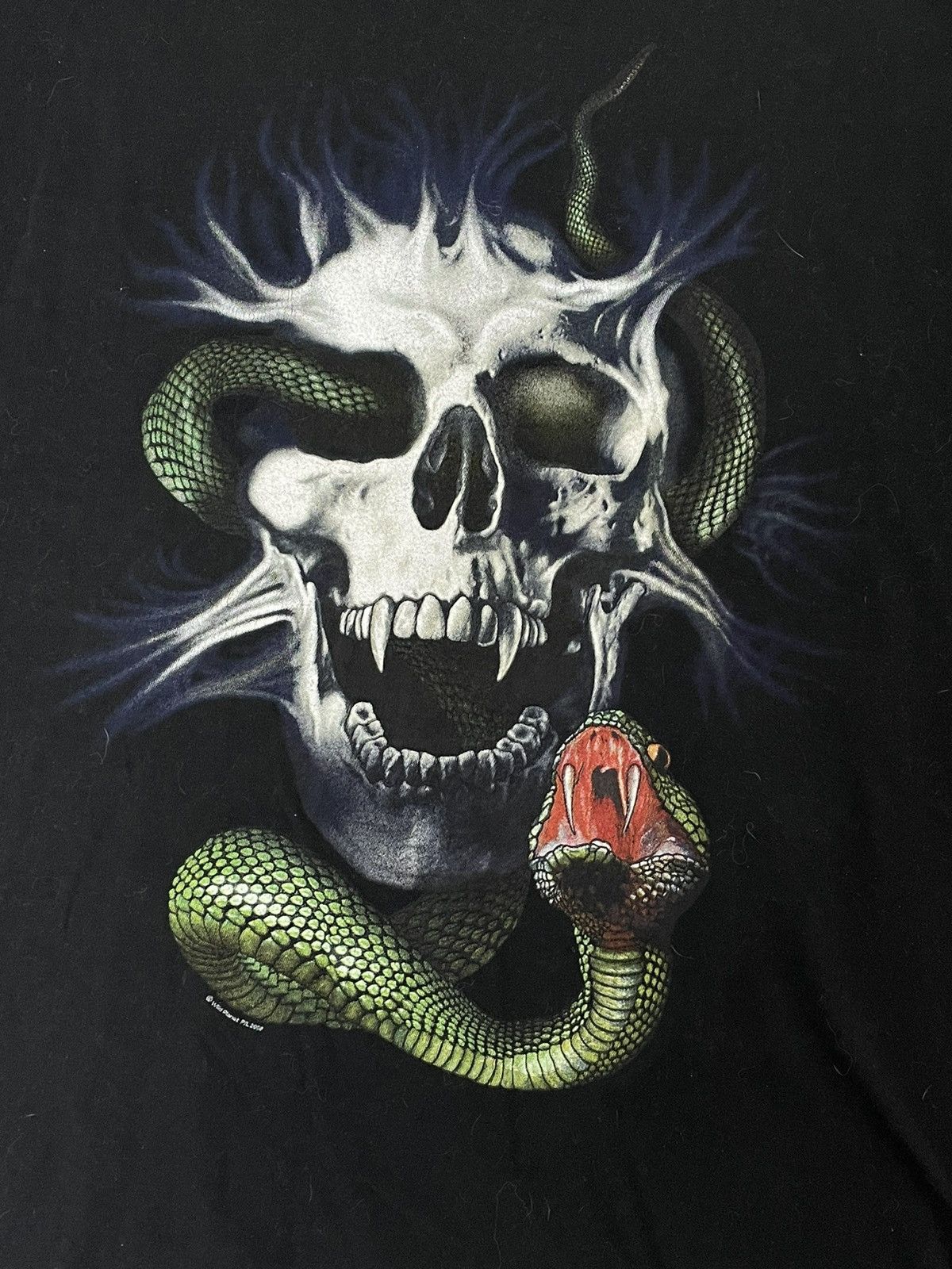 Band Tees skull snake tee Wild Planet Made in Australia 2008 age tee Size US L / EU 52-54 / 3 - 7 Thumbnail