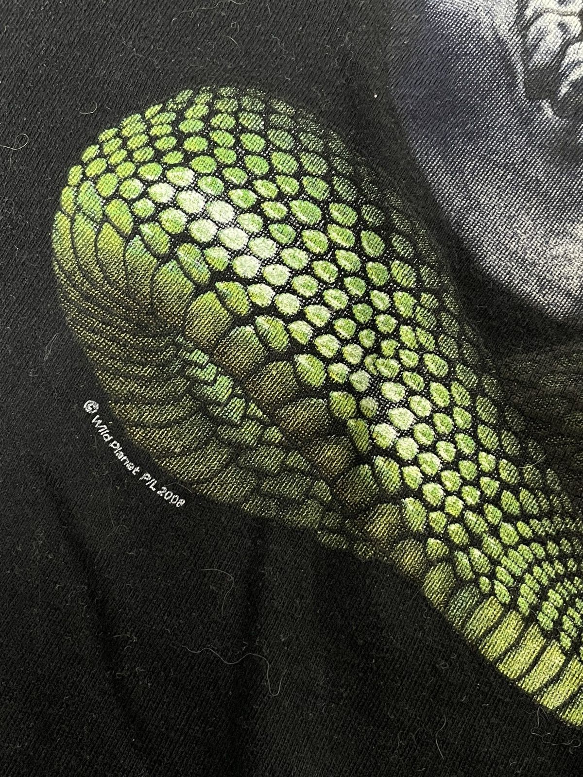 Band Tees skull snake tee Wild Planet Made in Australia 2008 age tee Size US L / EU 52-54 / 3 - 6 Thumbnail