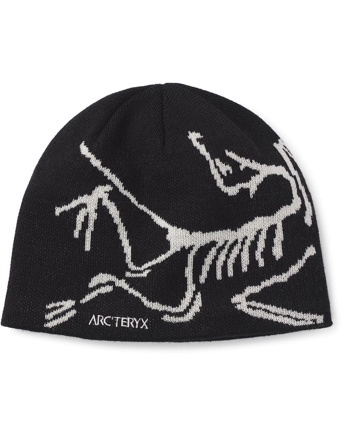 Arc'teryx × Palace Palace x Arcteryx Beanie / Toque Black