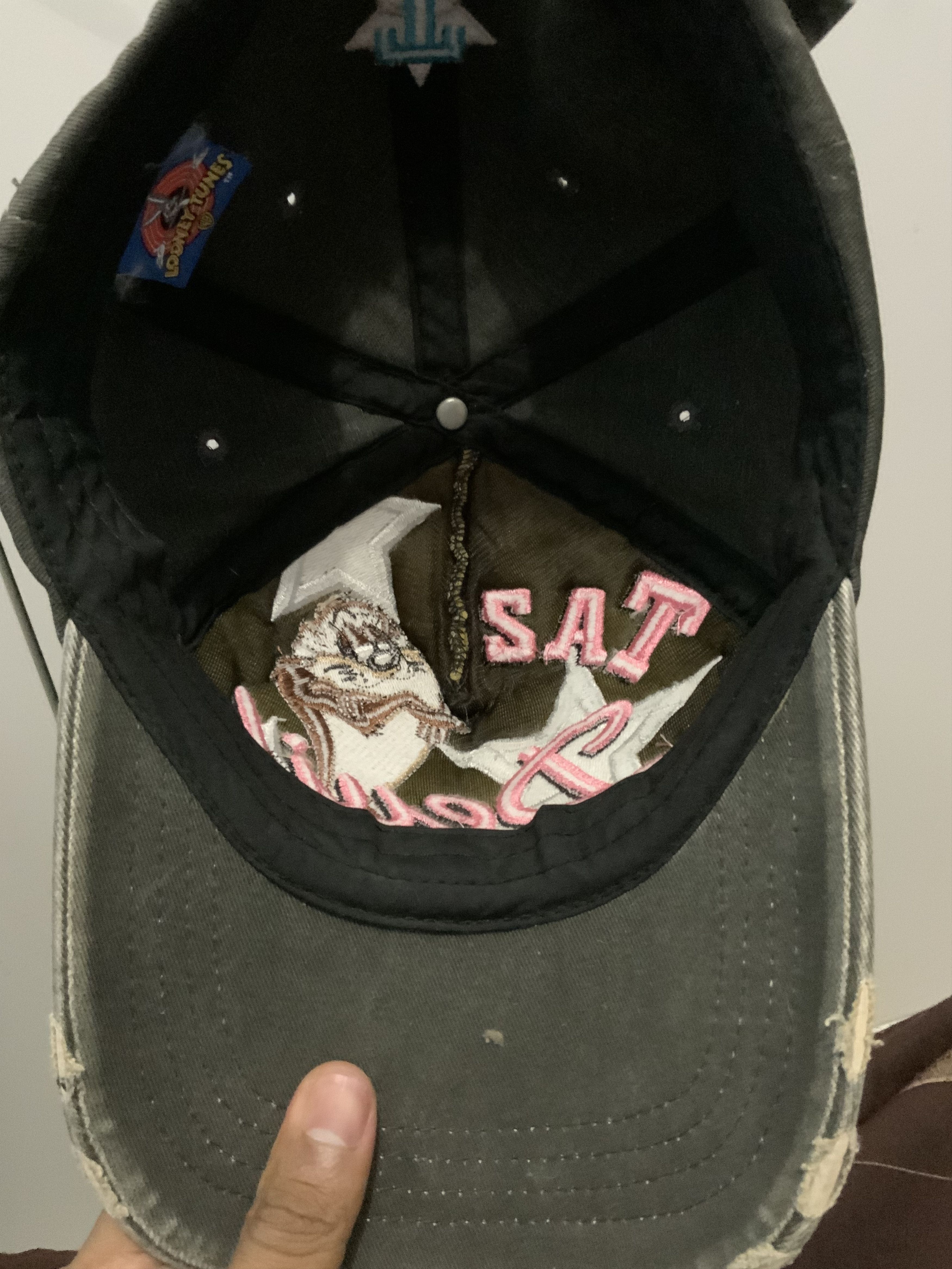 Vintage Vintage Taz-Mania Looney Tunes Hat Size ONE SIZE - 21 Thumbnail