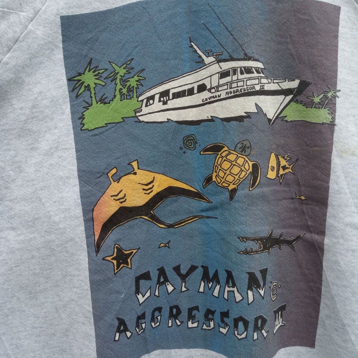 Island Shores × Vintage Vintage Cayman Aggressor liveaboard diving trip sweatshirt Size US L / EU 52-54 / 3 - 3 Thumbnail