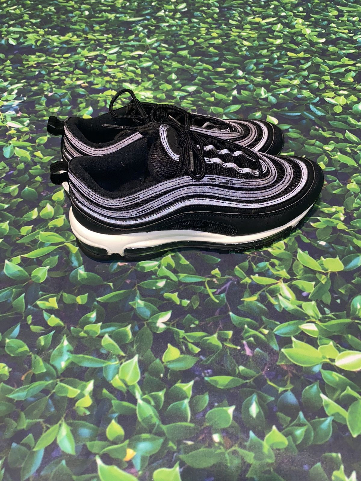 97 nocturnal animal