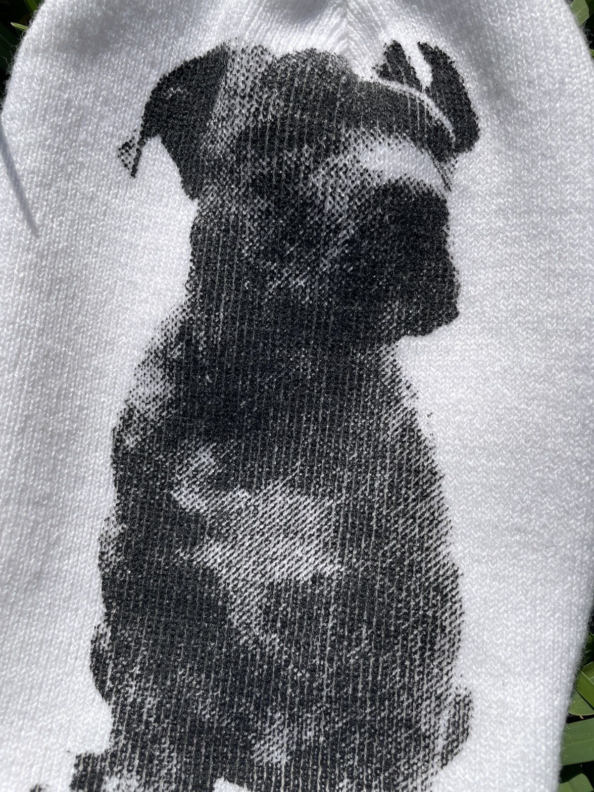 Vintage Pit-bull Graphic Beanie Size ONE SIZE - 4 Thumbnail