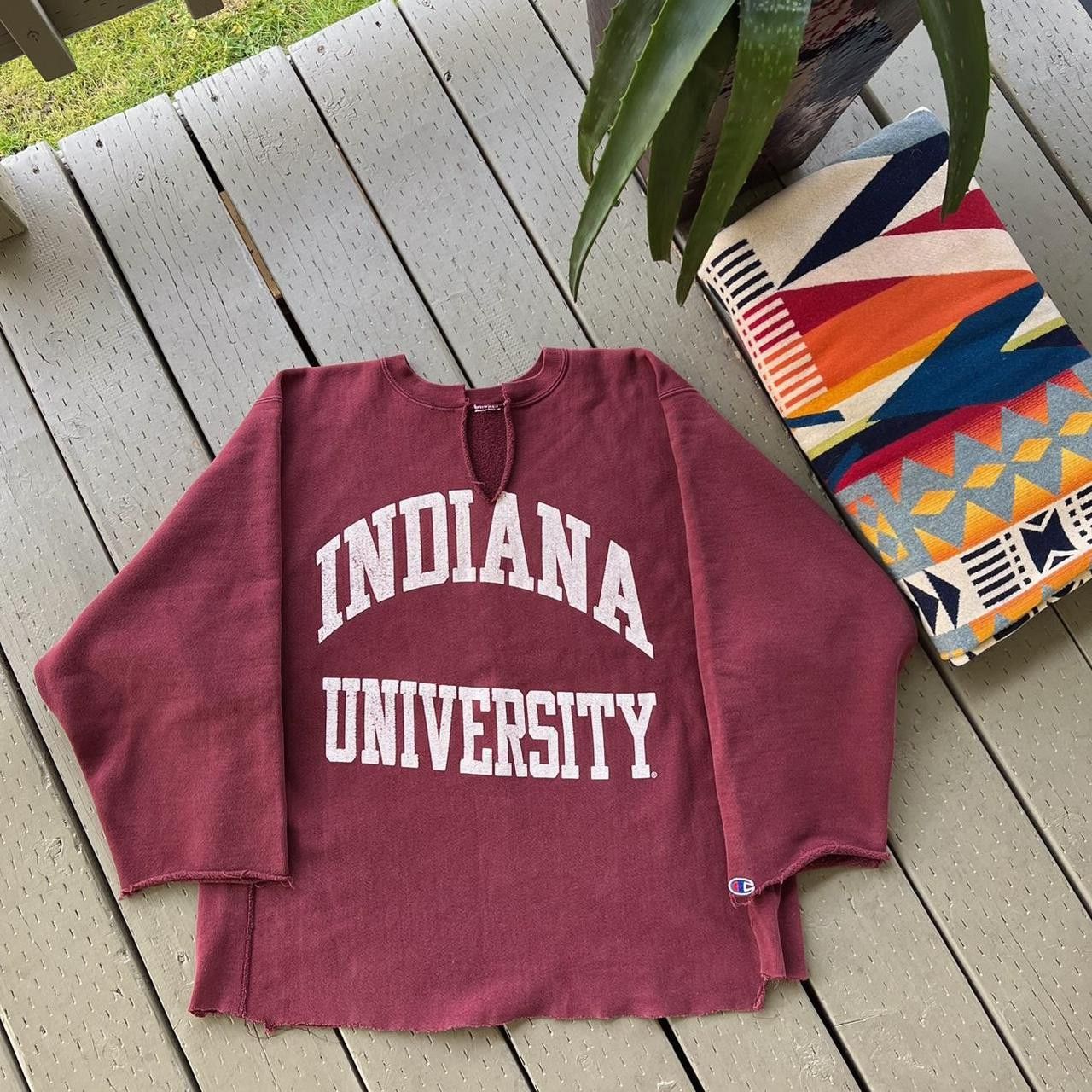indiana university
