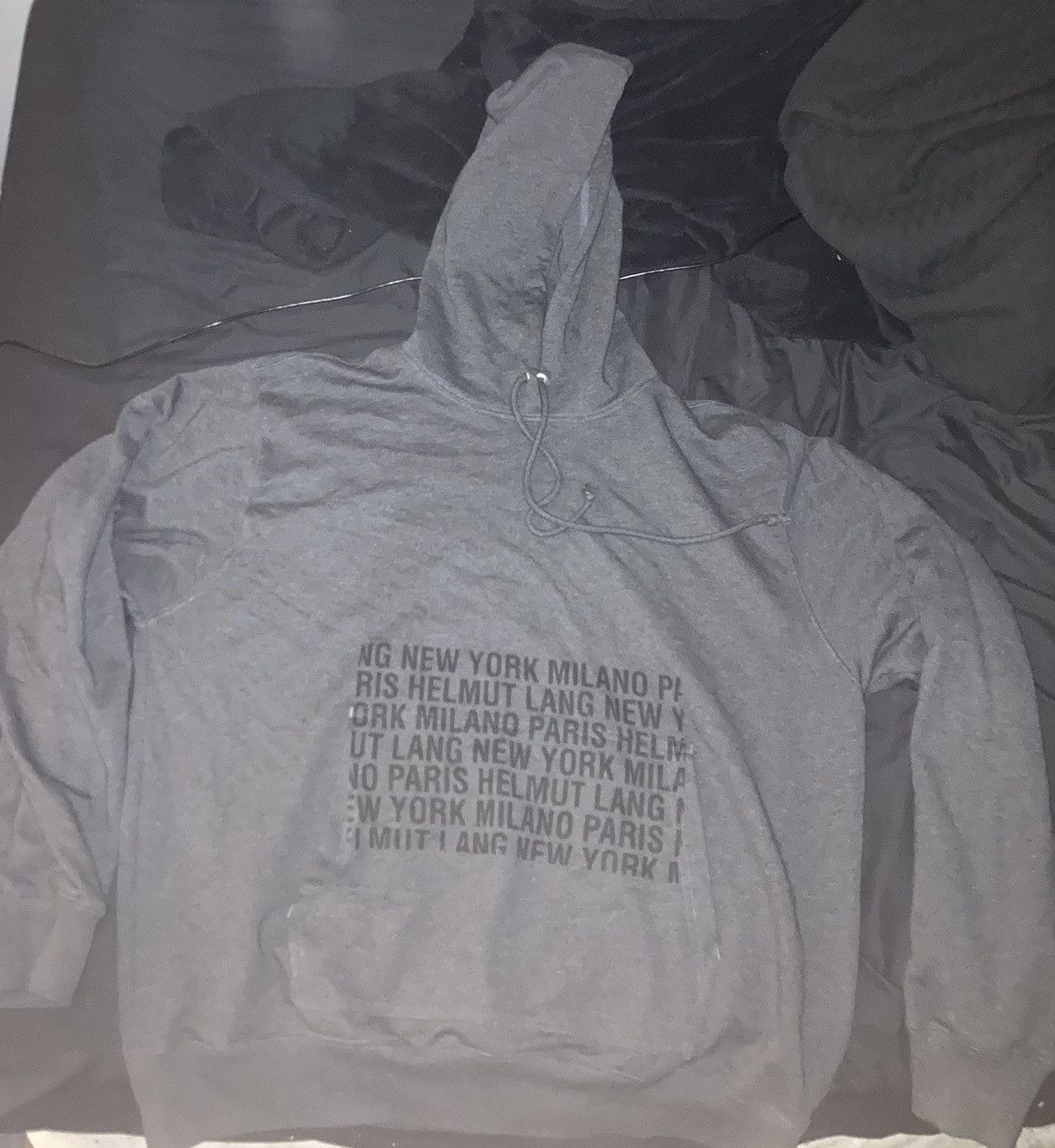 Designer × Helmut Lang × Other Helmut lang box logo hoodie size XL Size US XL / EU 56 / 4 - 1 Thumbnail