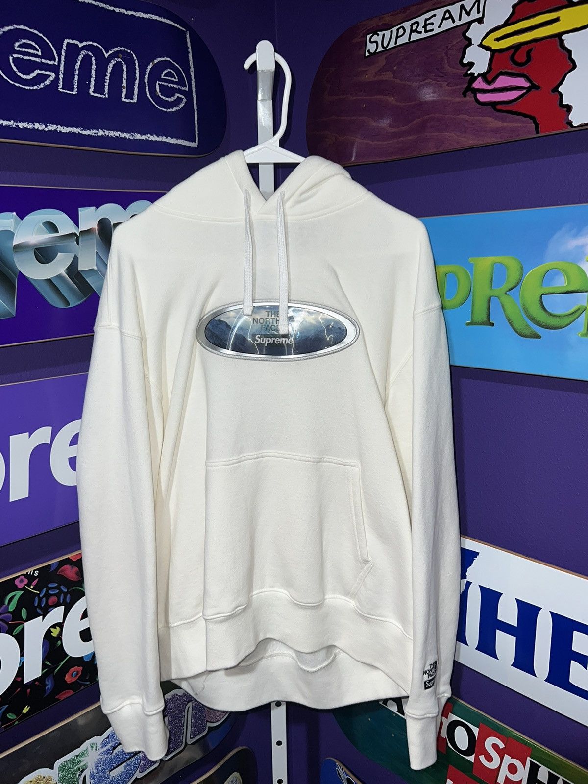 Supreme North Face Lenticular Mountains Hooded Sweatshirt