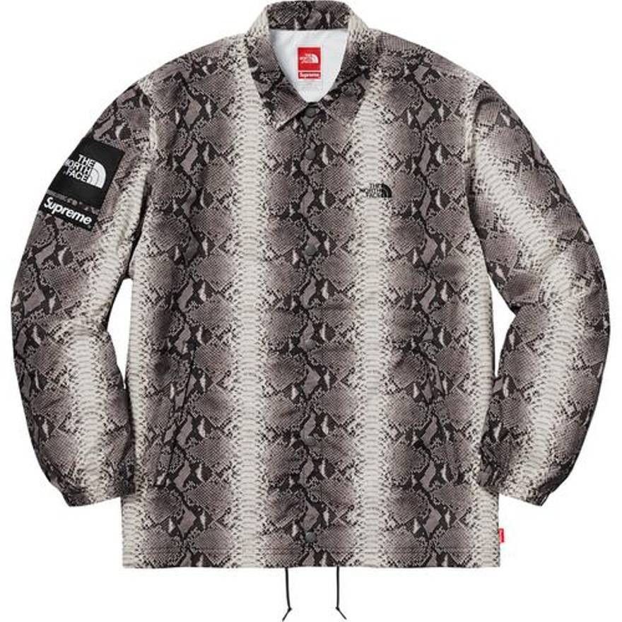 Supreme SS18 Supreme x The North Face Snakeskin Coach Jacket | Grailed
