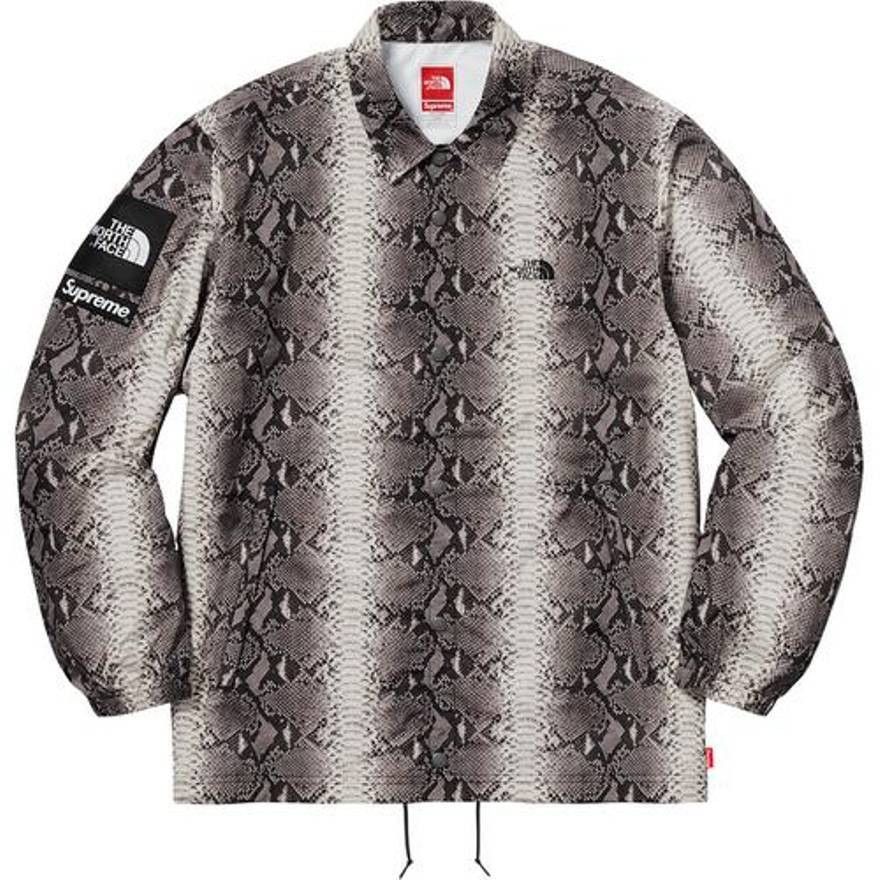 image of Ss18 Supreme x The North Face Snakeskin Coach Jacket in Black, Men's (Size Medium)