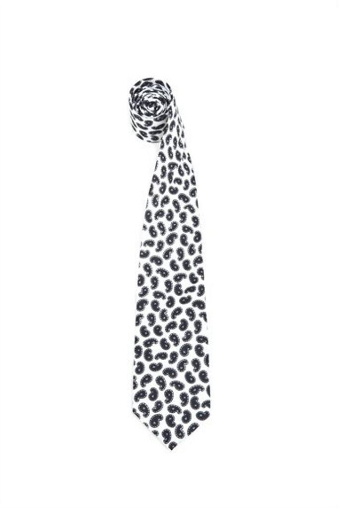 MARC by Marc Jacobs RICHMOND PAISLEY Print SHIRT TIE Classi