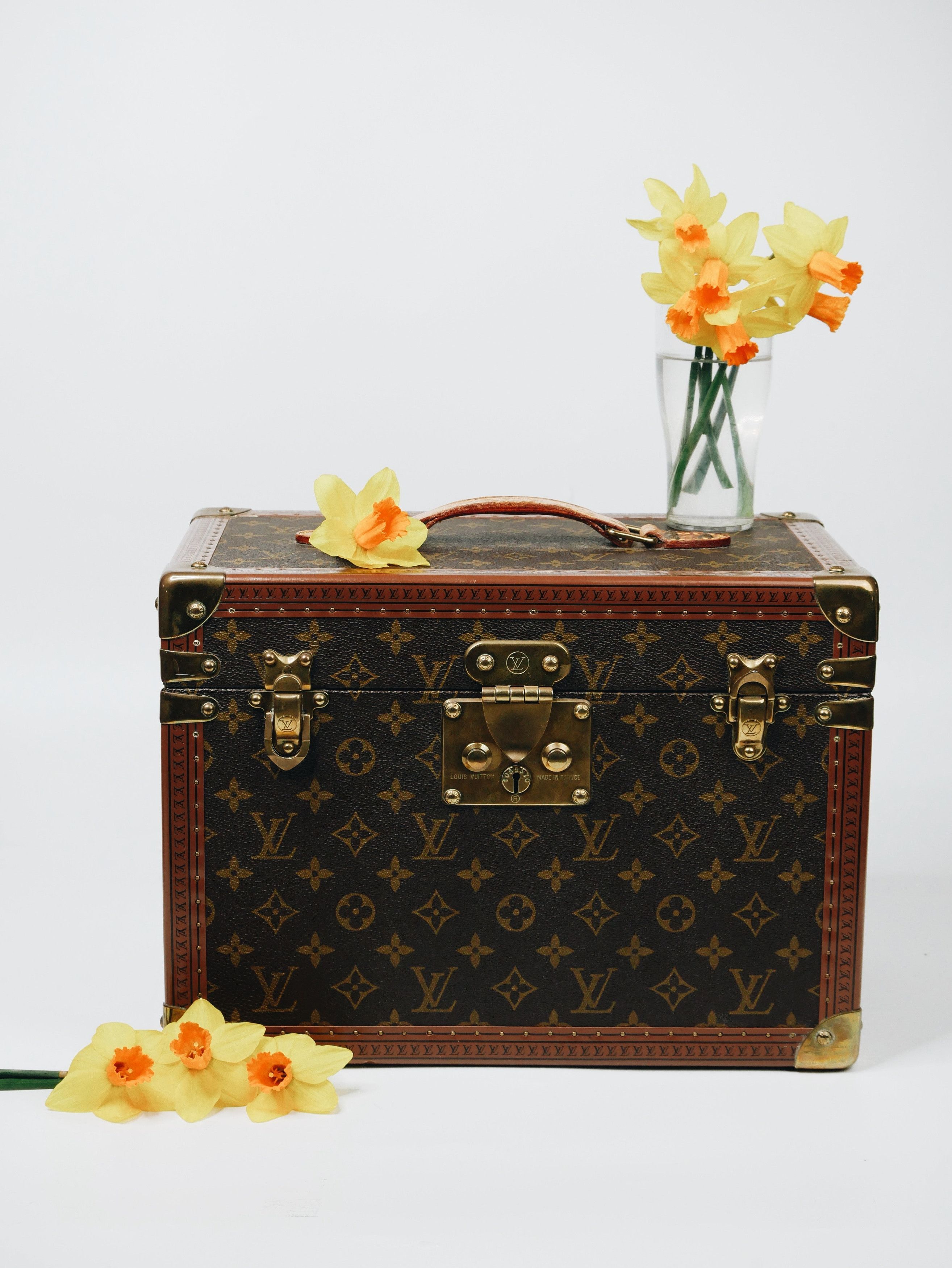 Brown Monogram Boite Pharmacie Trunk
