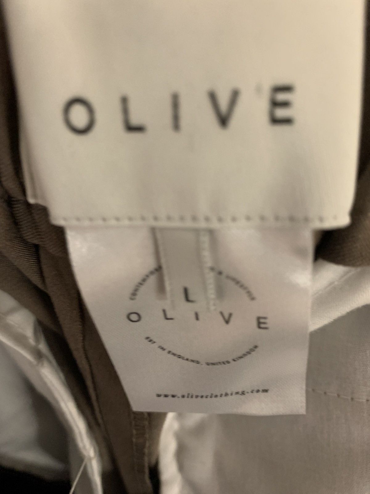 Olive Wide Single Pleat Pants Size US 34 / EU 50 - 3 Thumbnail