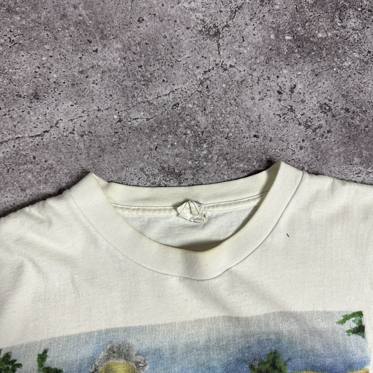 Vintage VTG 90s Albert Einstein Don’t let gravity get you down tee Size US XL / EU 56 / 4 - 6 Thumbnail