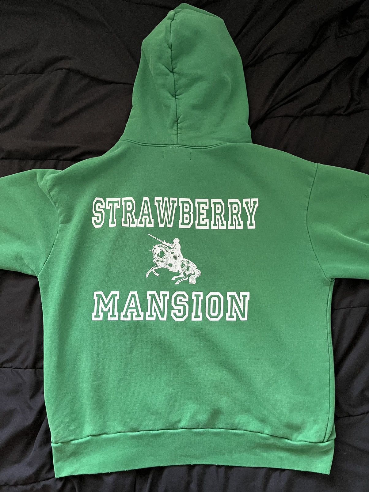Unwanted Unwanted Strawberry Mansion Hoodie Green 4/20 Size US L / EU 52-54 / 3 - 2 Thumbnail
