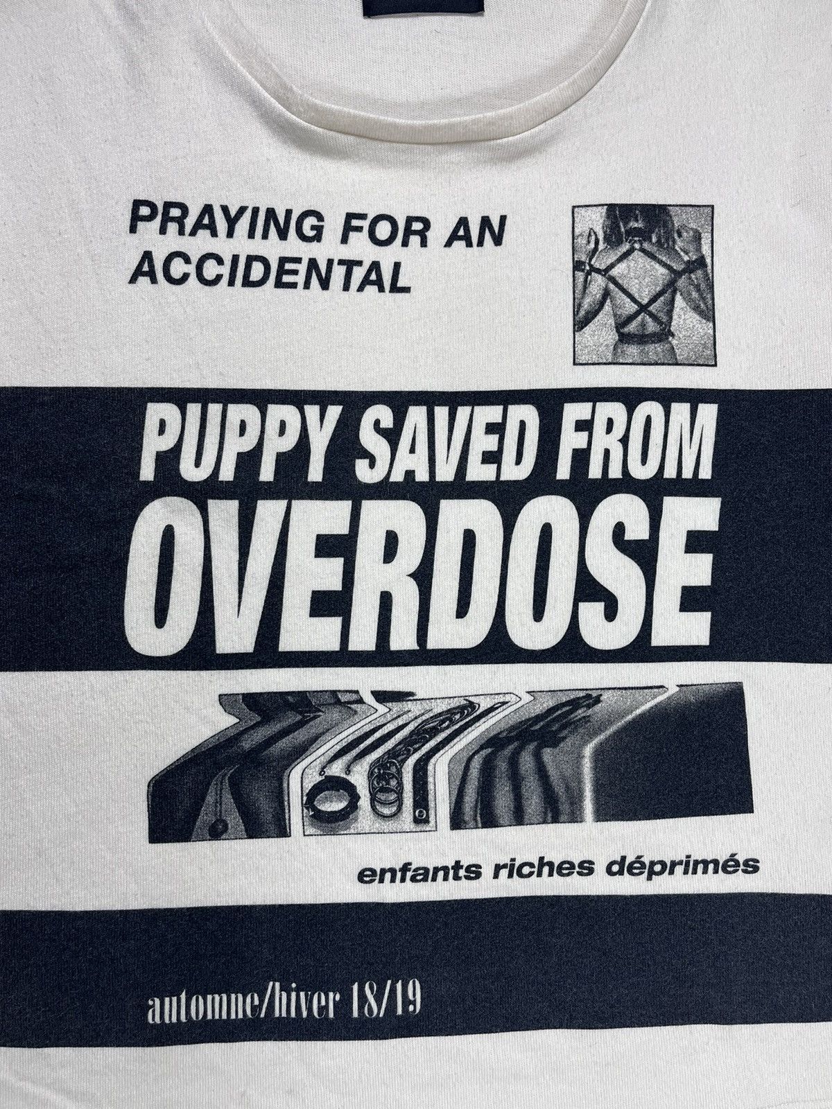 Prevent Puppy Tragedy:  Understanding Dewormer Overdose Symptoms - awa4g9e