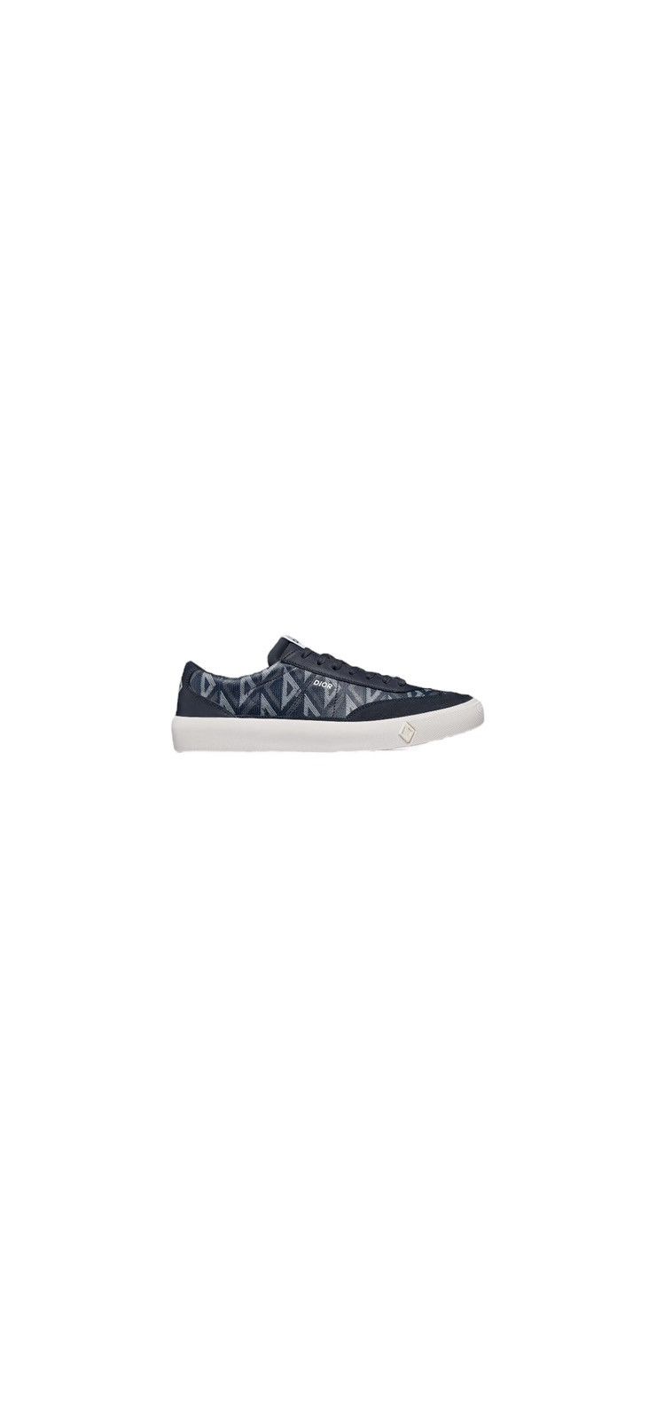 Dior B101 Slip On Sneakers