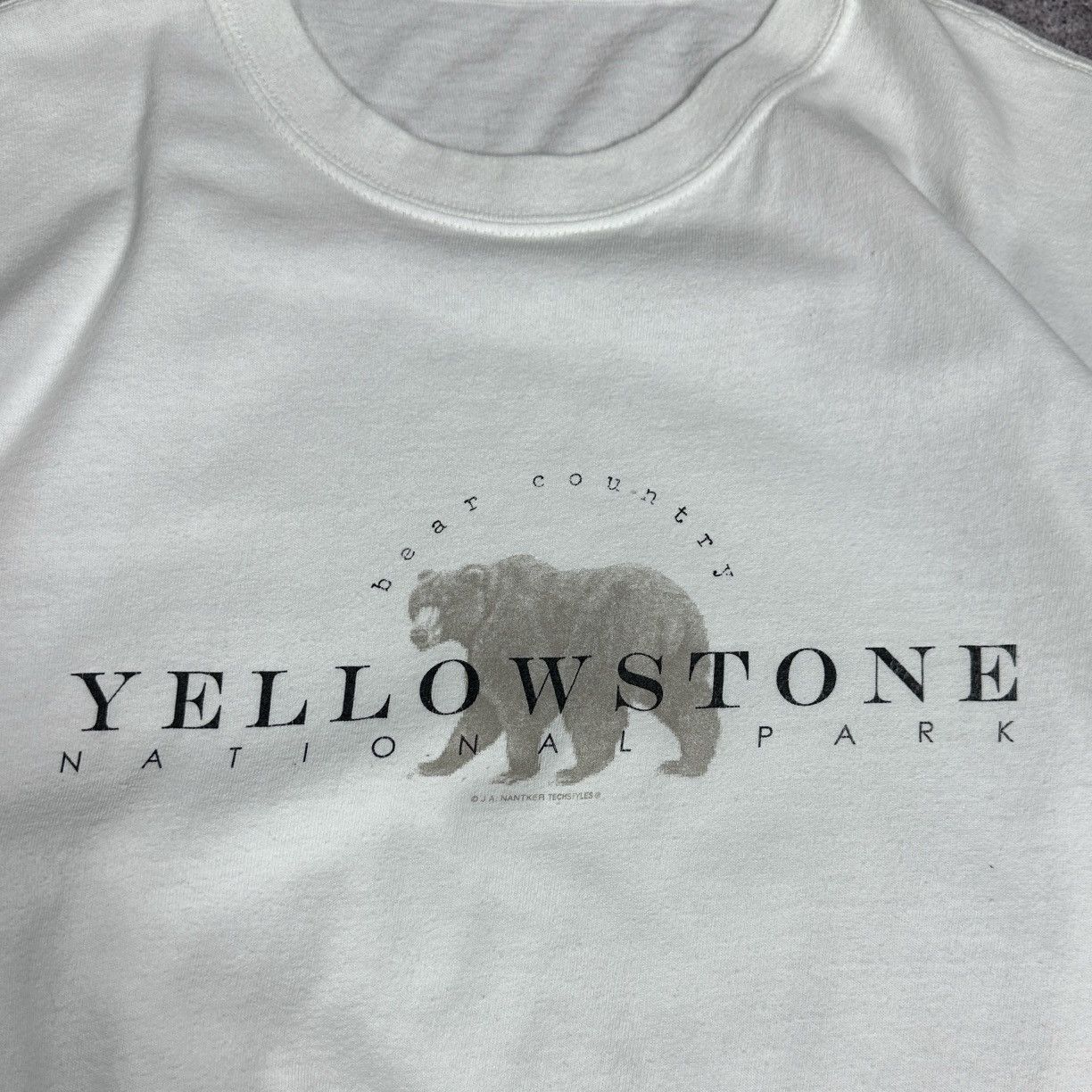 Vintage Vintage 90s Yellowstone National Park Bear Country tee y2k Size US L / EU 52-54 / 3 - 4 Thumbnail