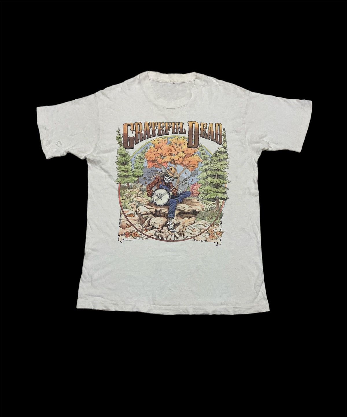 Vintage 90's Grateful Dead Fall Tour 1994 Shirt USA Tour