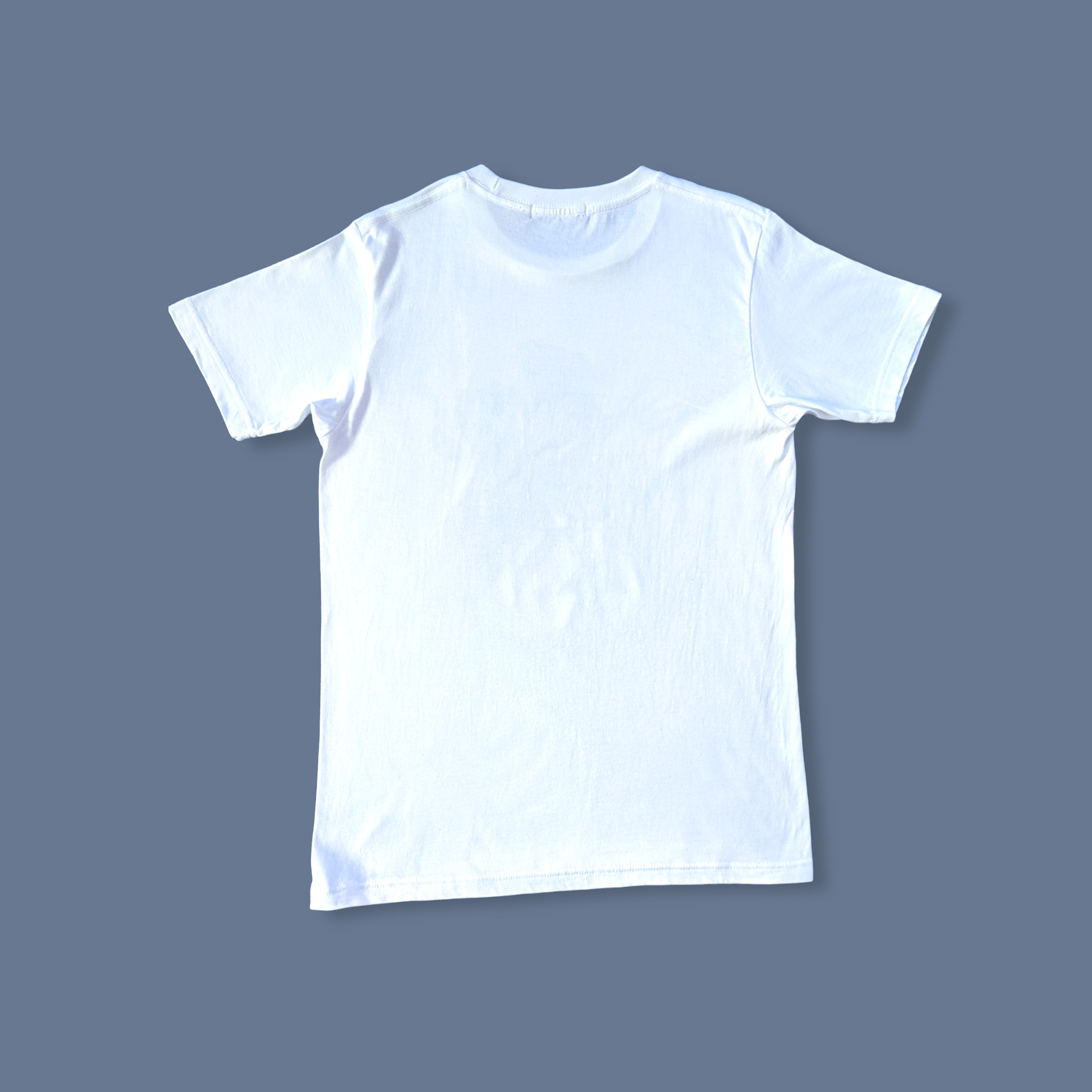 Anime × Japanese Brand Neon Genesis Evangelion NERV Anime Big Logo T shirt Size US M / EU 48-50 / 2 - 3 Thumbnail