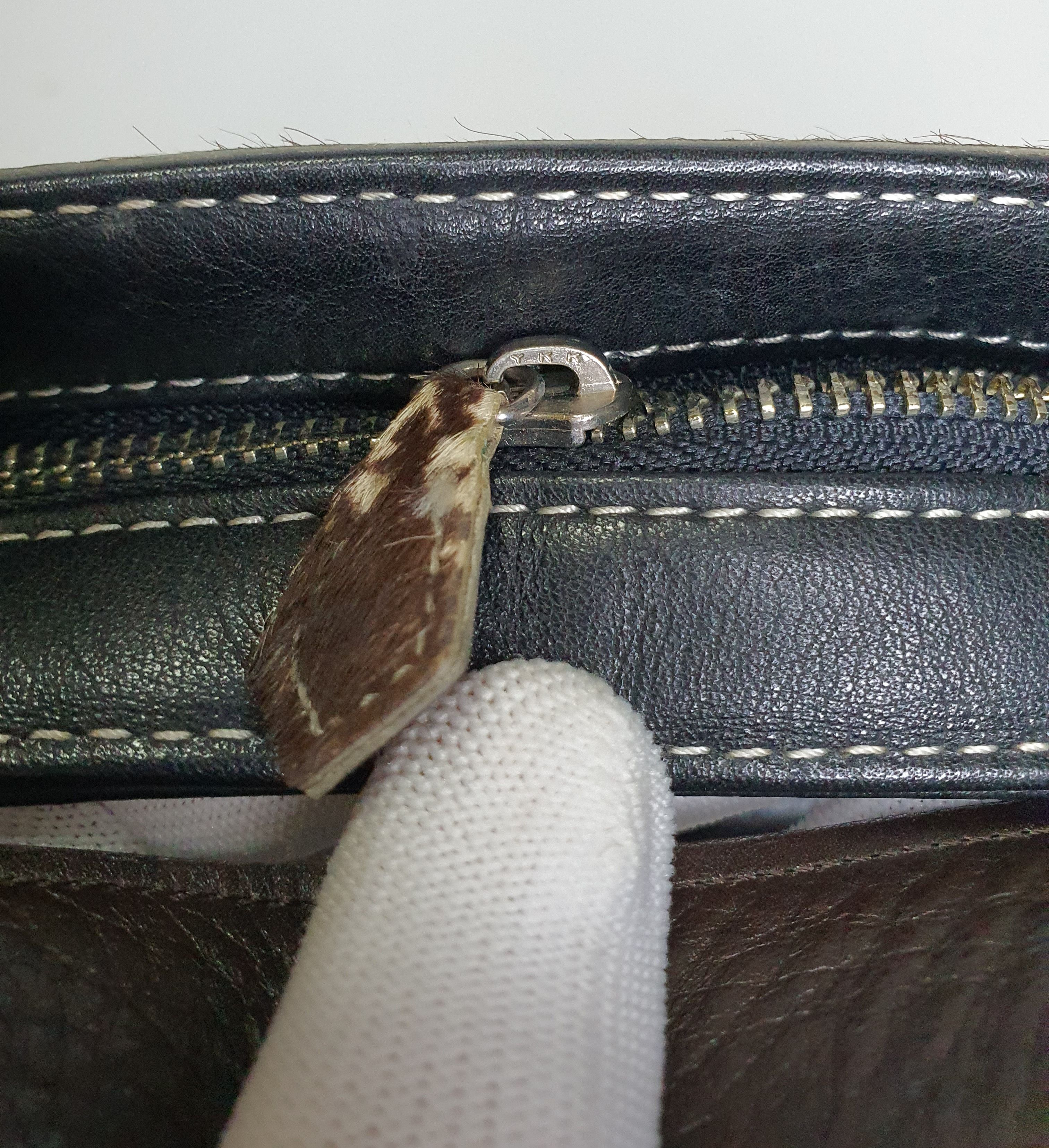 Burberry BURBERRY Blue Label Mini Handbag. Size ONE SIZE - 17 Thumbnail