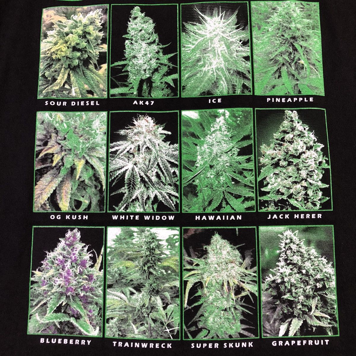 Other Sensi Seeds Marijuana Weed Amsterdam Bank Seed Menu Tee Size US XL / EU 56 / 4 - 5 Thumbnail