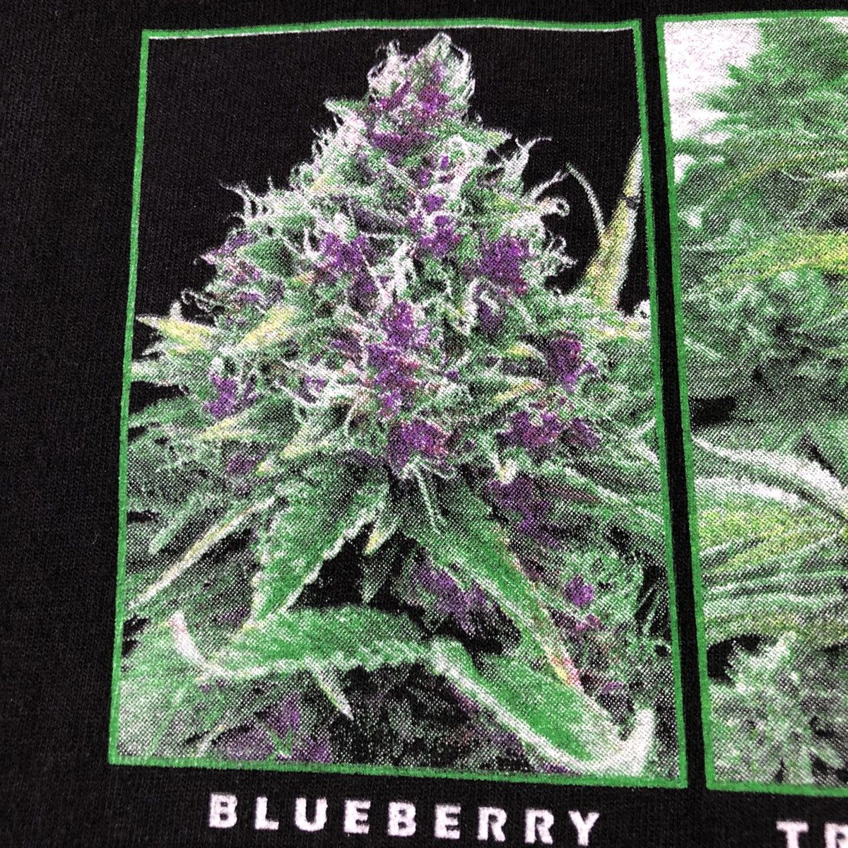 Other Sensi Seeds Marijuana Weed Amsterdam Bank Seed Menu Tee Size US XL / EU 56 / 4 - 6 Thumbnail