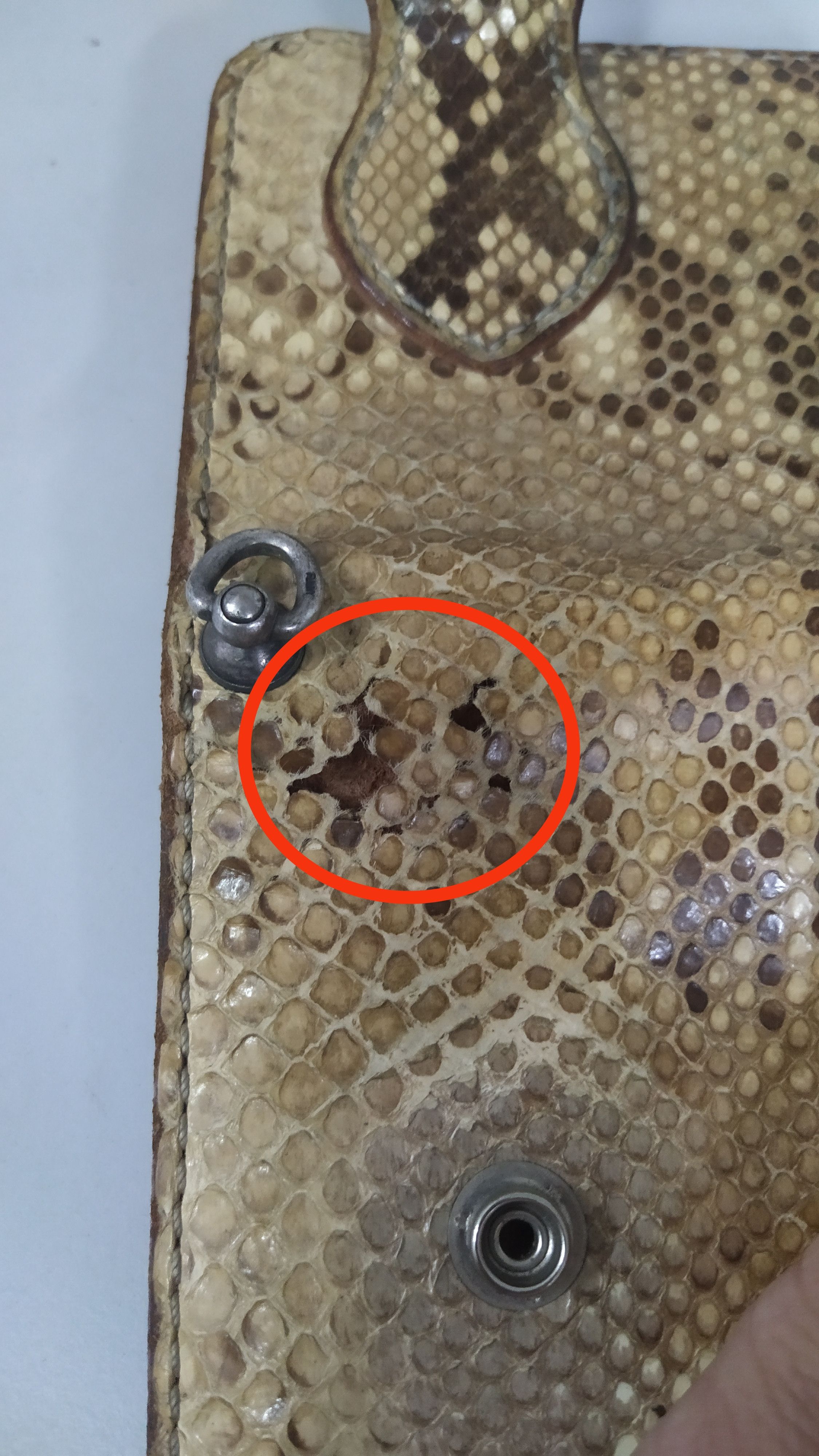 Genuine Leather Funny python long wallet Rare vintage Size ONE SIZE - 9 Thumbnail