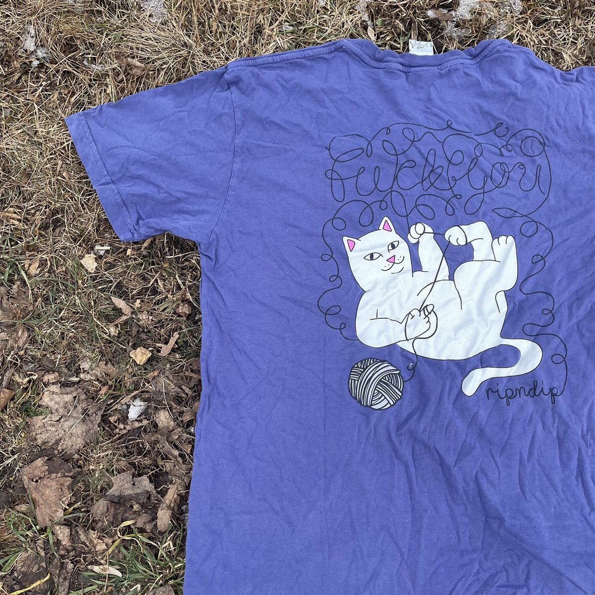 Band Tees Vintage Y2K Rip N Dip Cutie Cat Band Tee Buymypiece 90s Size US L / EU 52-54 / 3 - 3 Thumbnail
