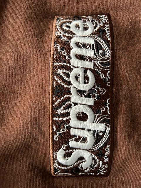 Supreme Supreme Banadana Box Logo Hooded Sweatshirt Size US M / EU 48-50 / 2 - 6 Thumbnail