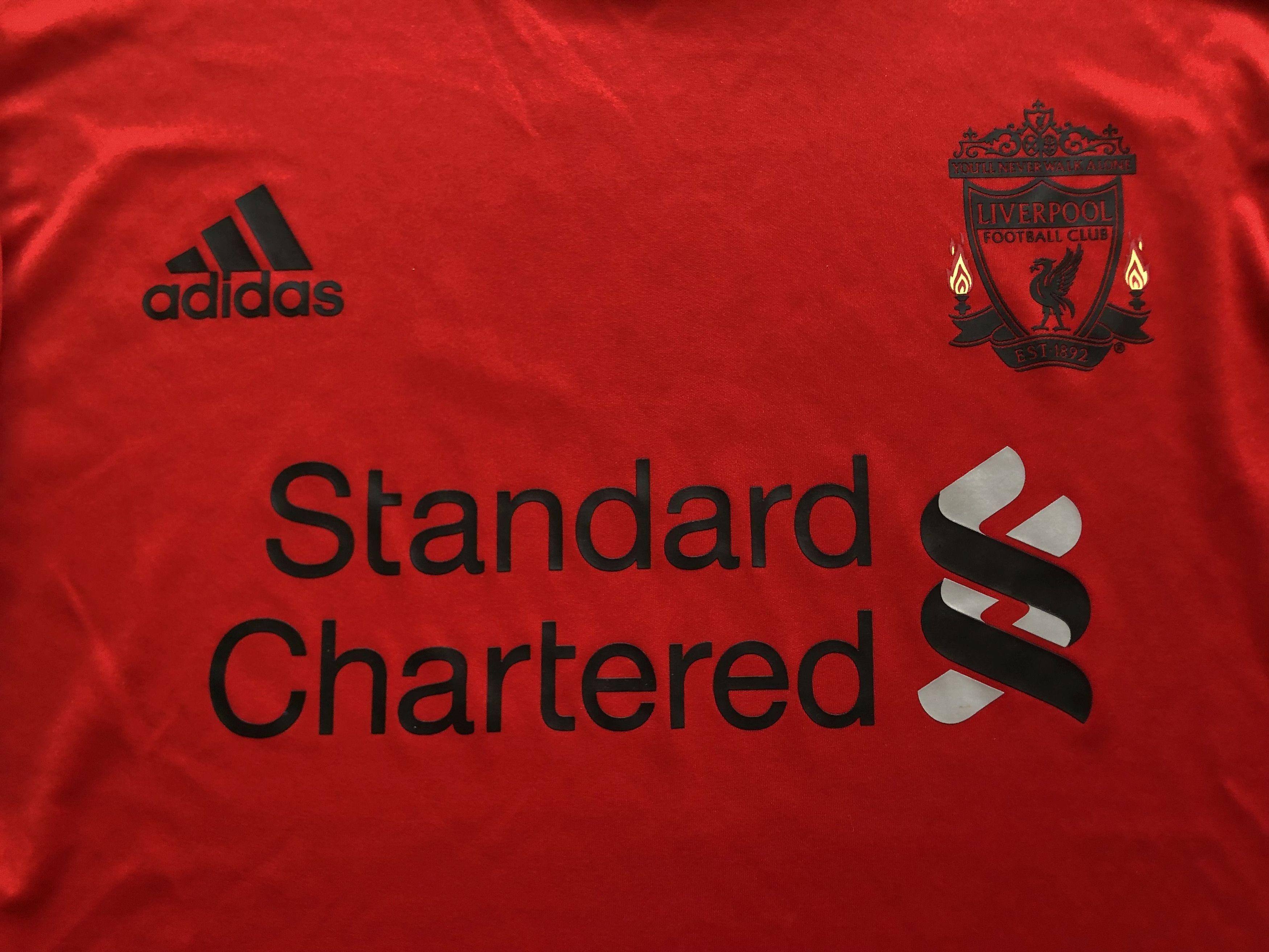 Adidas LIVERPOOL 2010 TRAINING SHIRT SOCCER JERSEY PRE MATCH Size US L / EU 52-54 / 3 - 3 Thumbnail