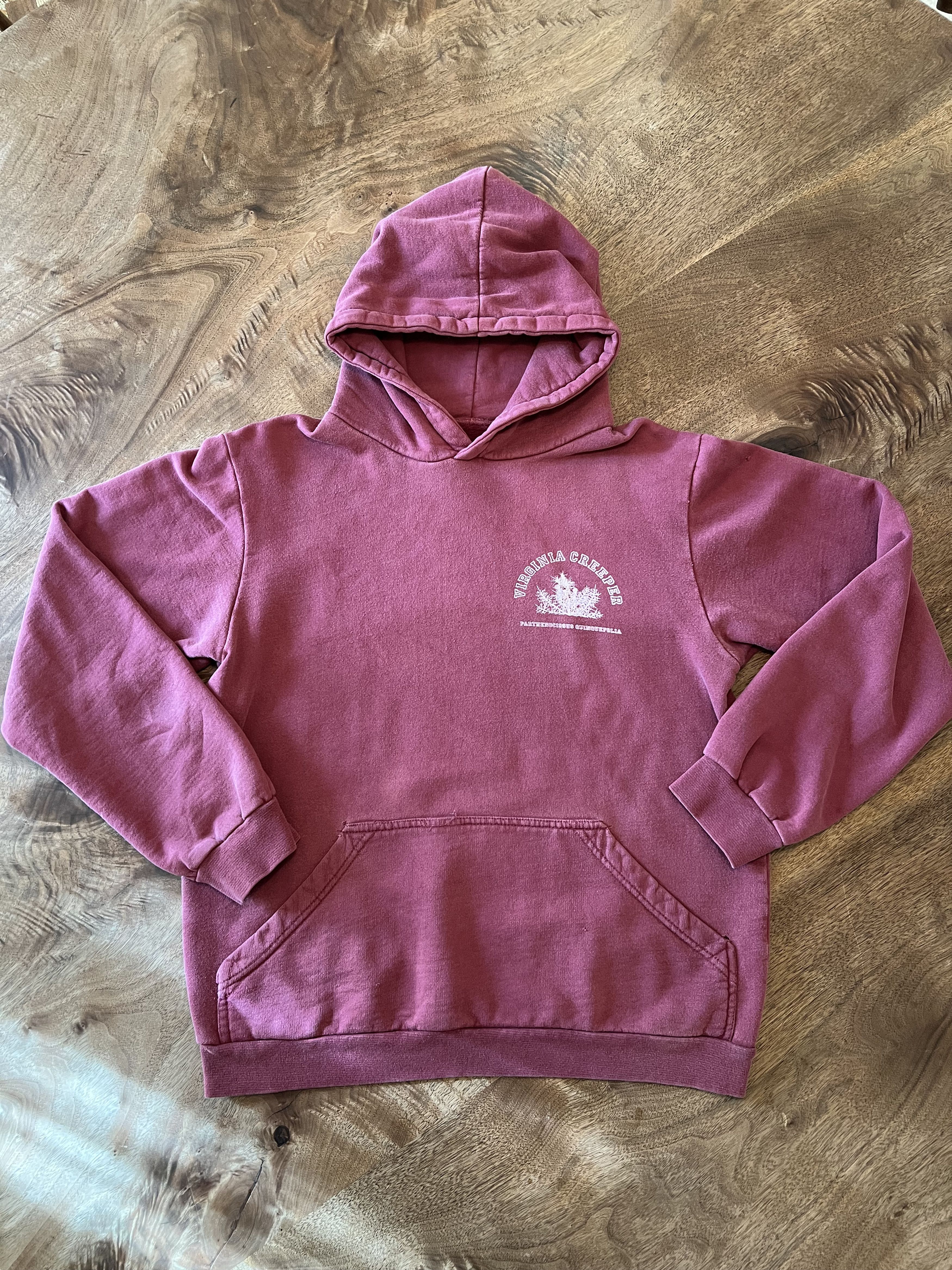 Raf Simons VIRGINIA CREEPER HOODIE AW 02 03 | Grailed