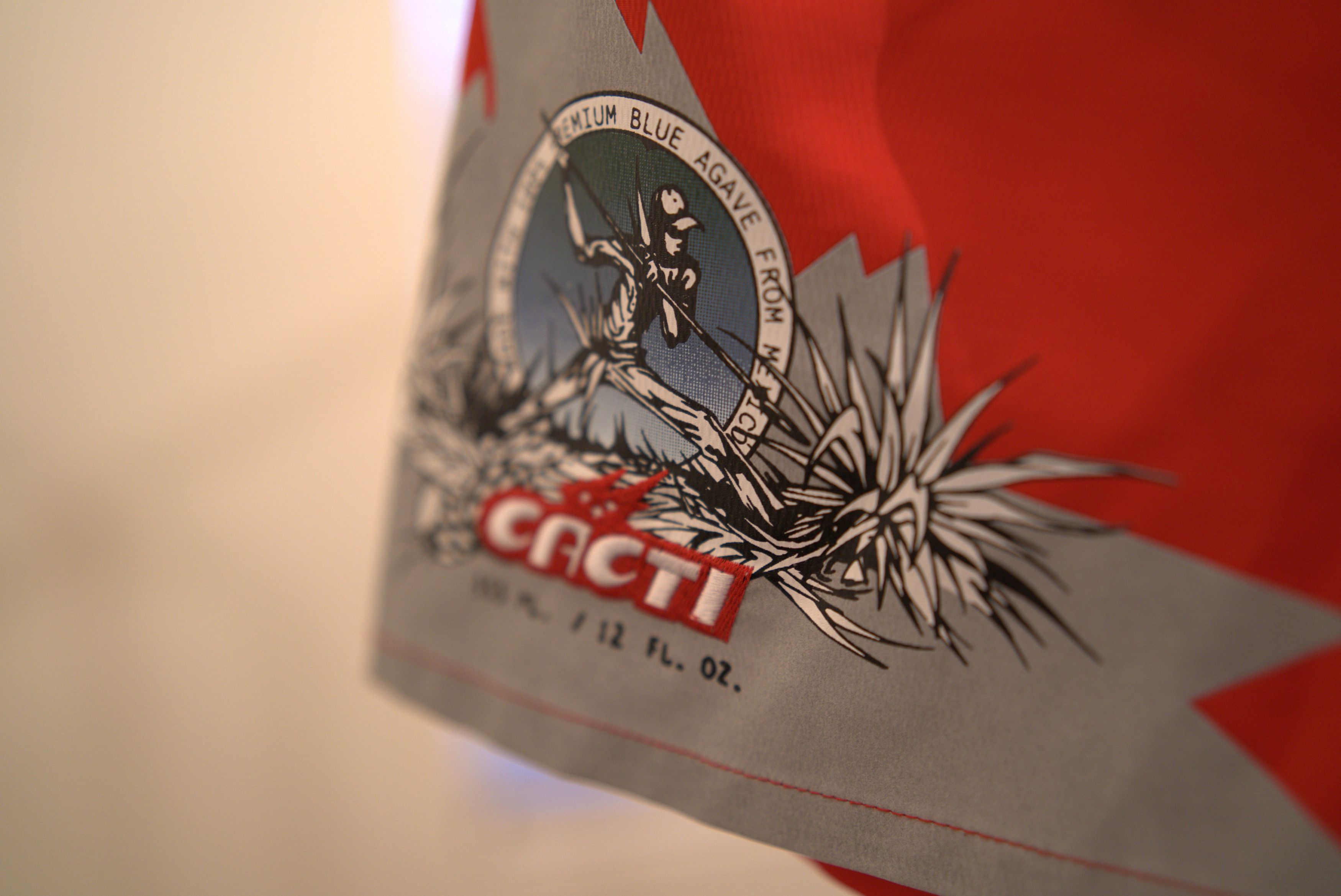 Travis Scott TRAVIS SCOTT x CACTI HERITAGE 3M SOCCER SHORTS (Red) Size US 28 / EU 44 - 2 Thumbnail