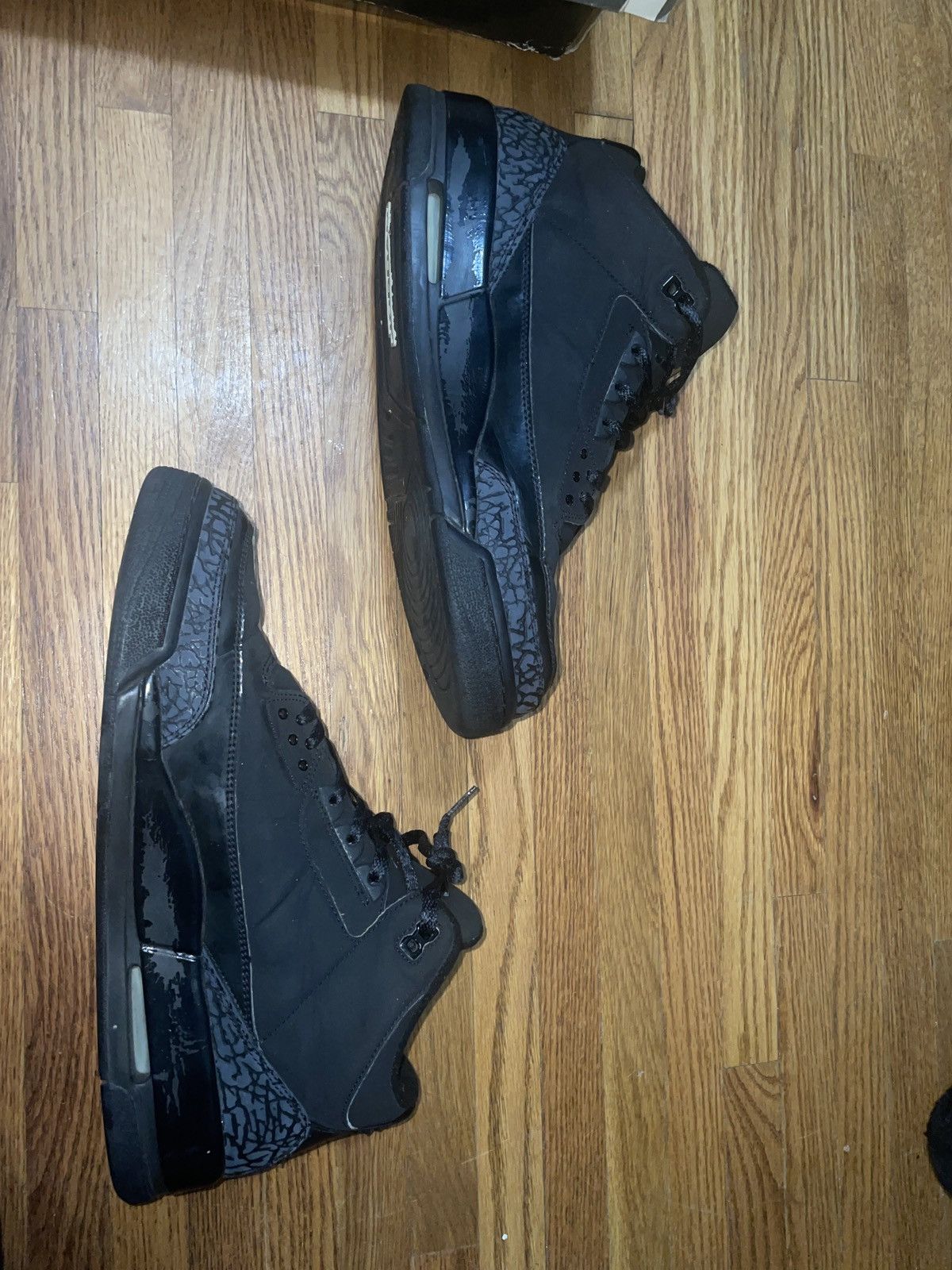 michael jordan black cat